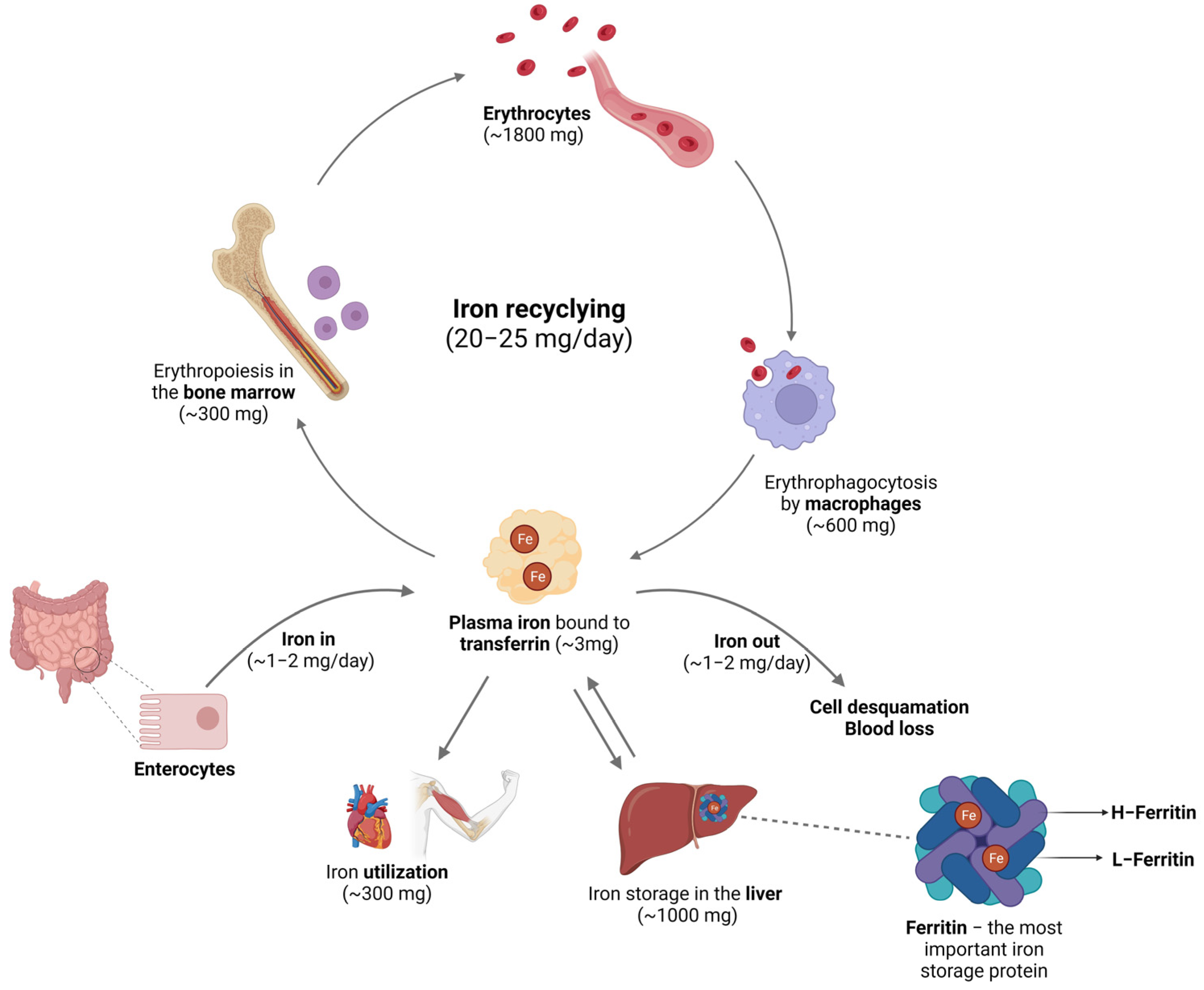 Molecules 28 07707 g001