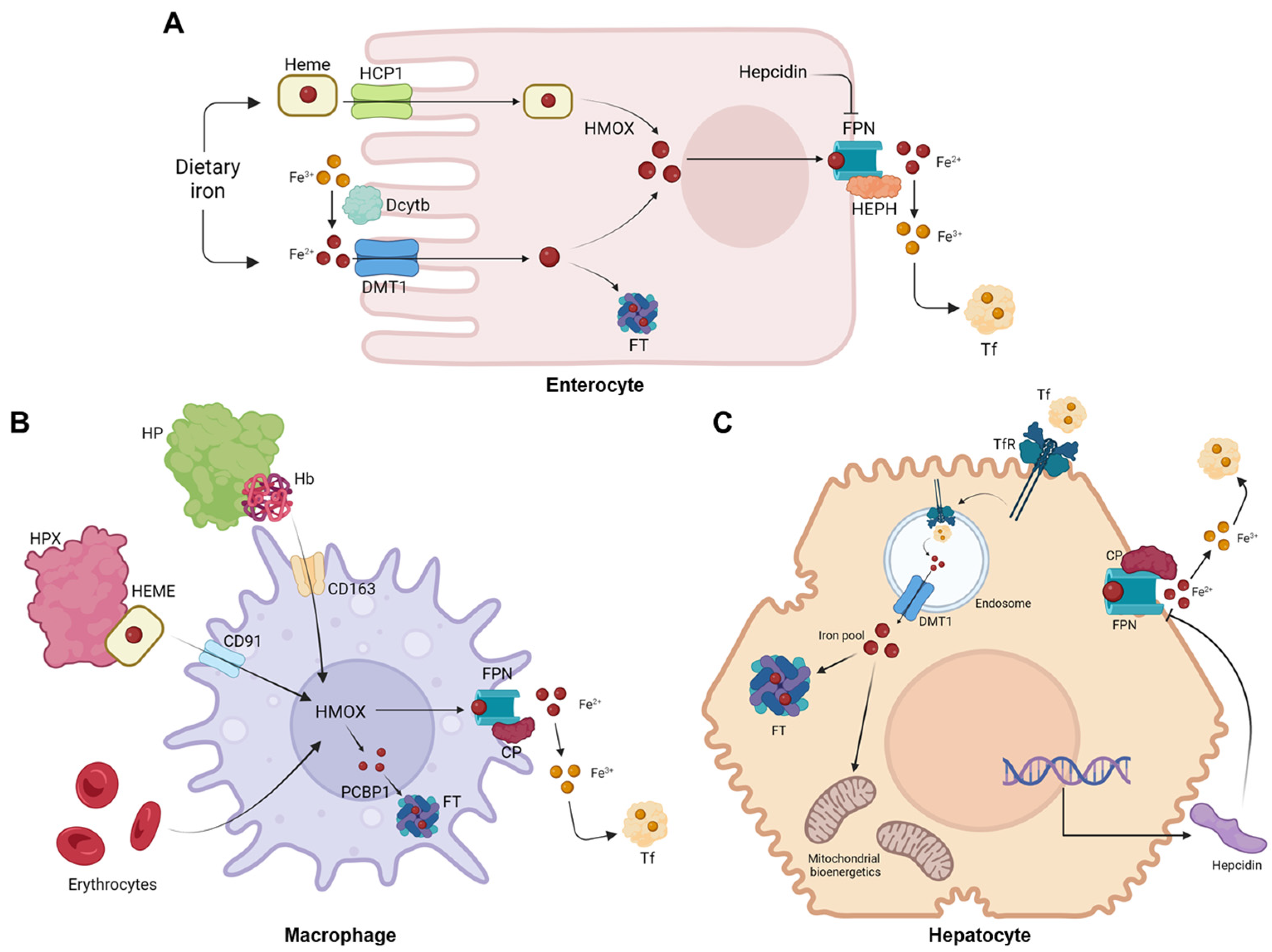 Molecules 28 07707 g002