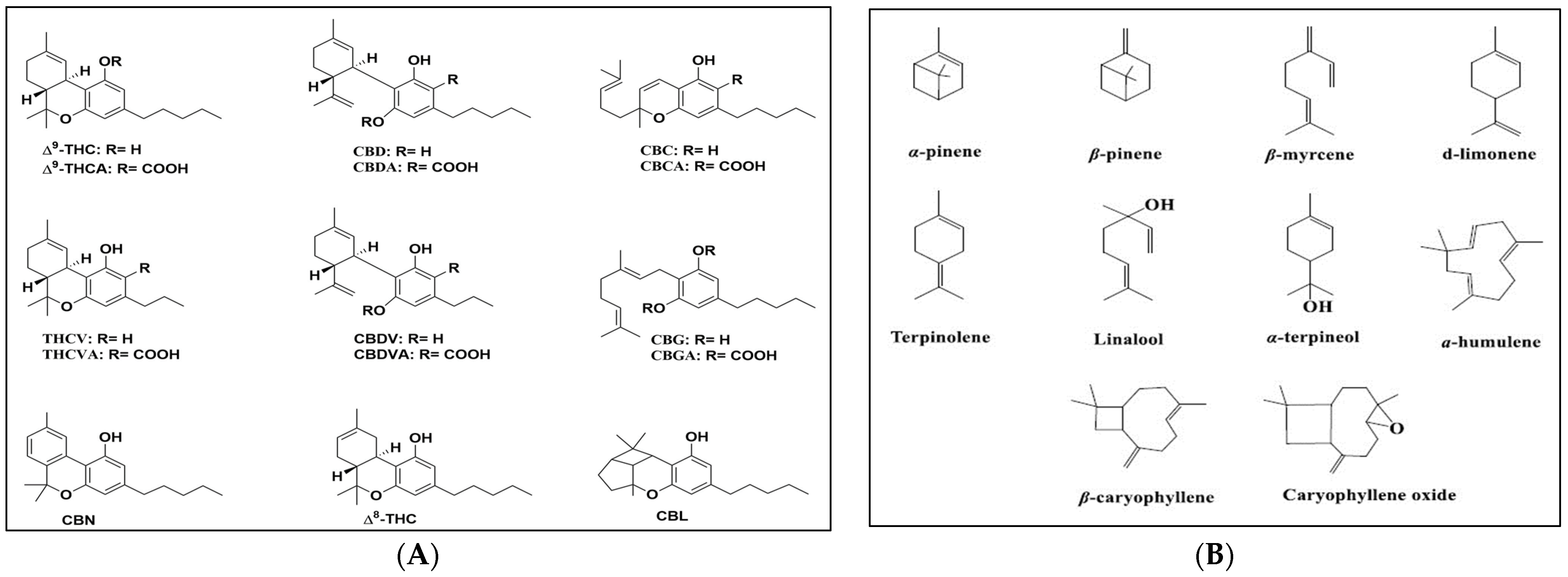 Molecules 28 07710 g004