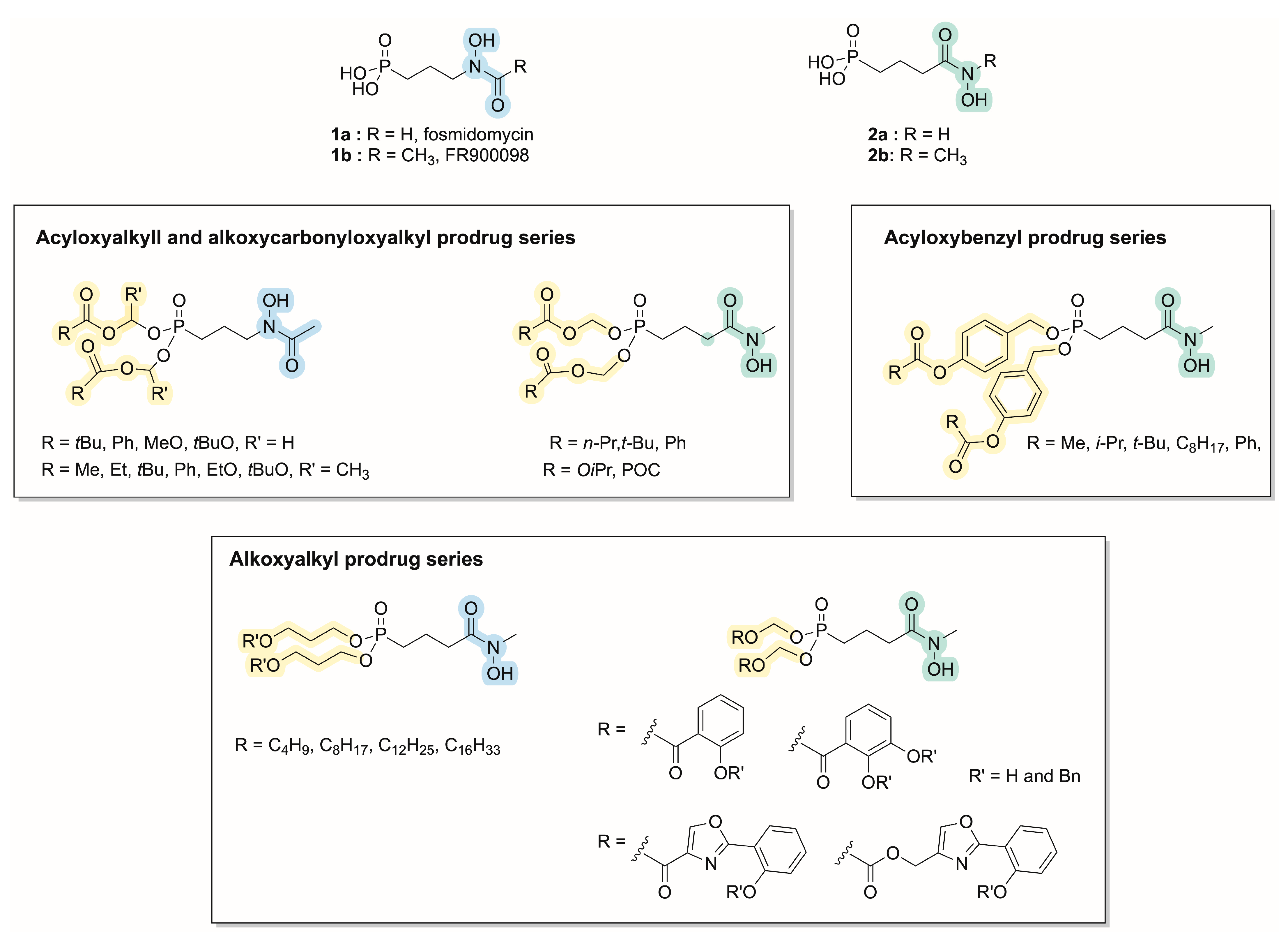 Molecules 28 07713 sch001