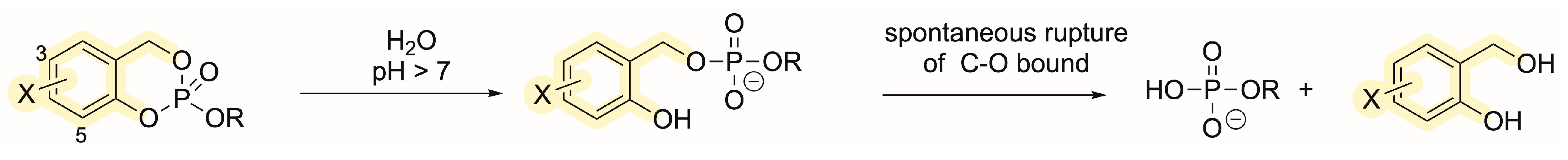 Molecules 28 07713 sch003