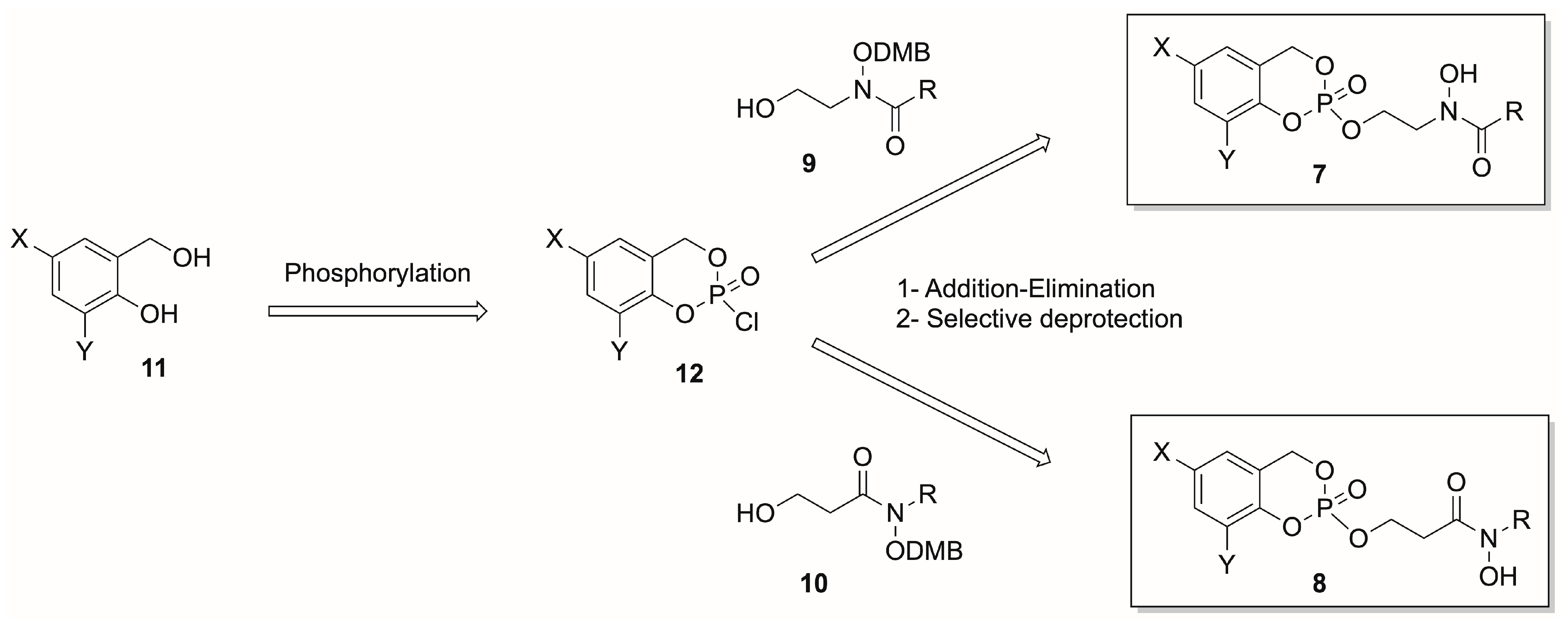 Molecules 28 07713 sch004