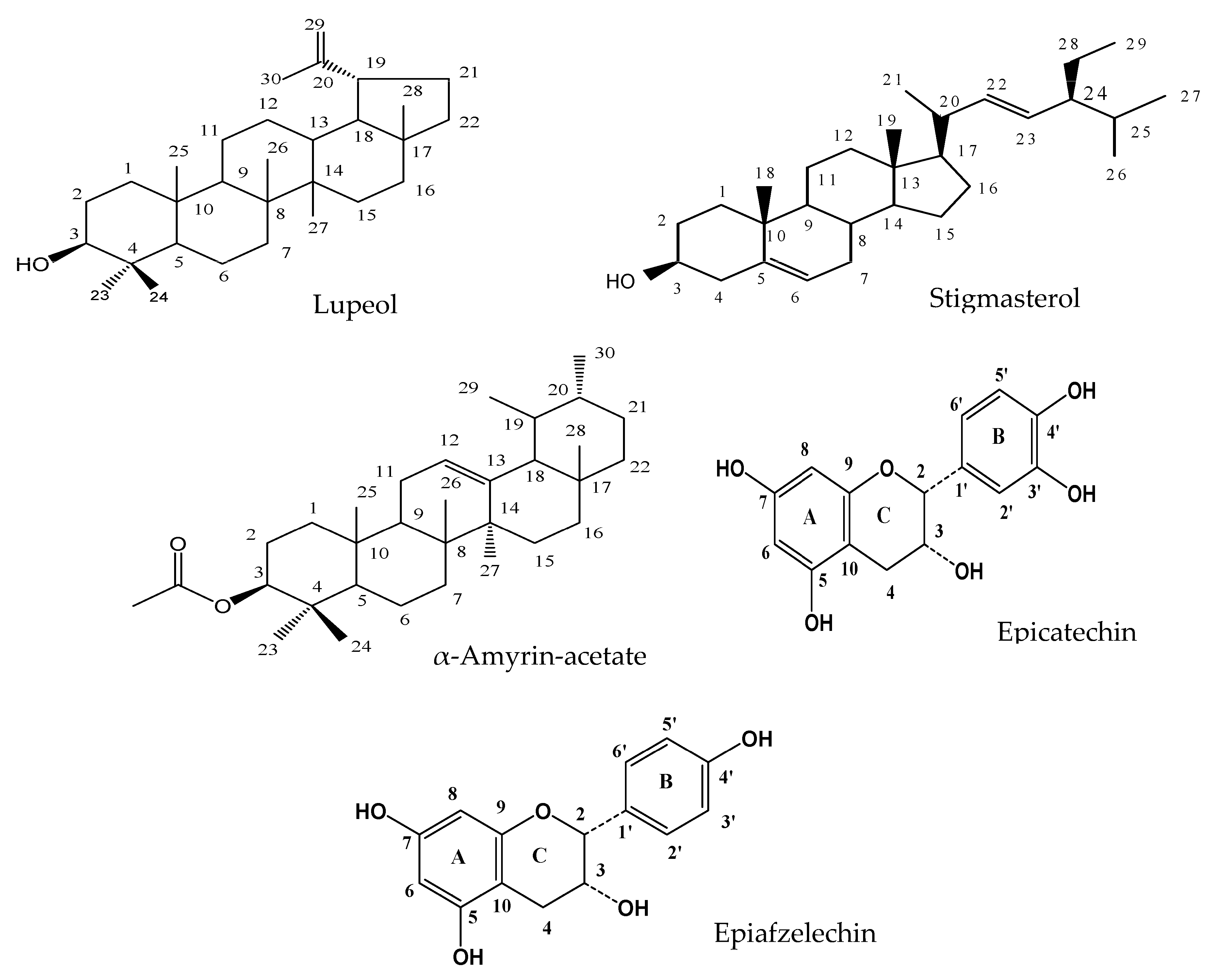 Molecules 28 07717 g001