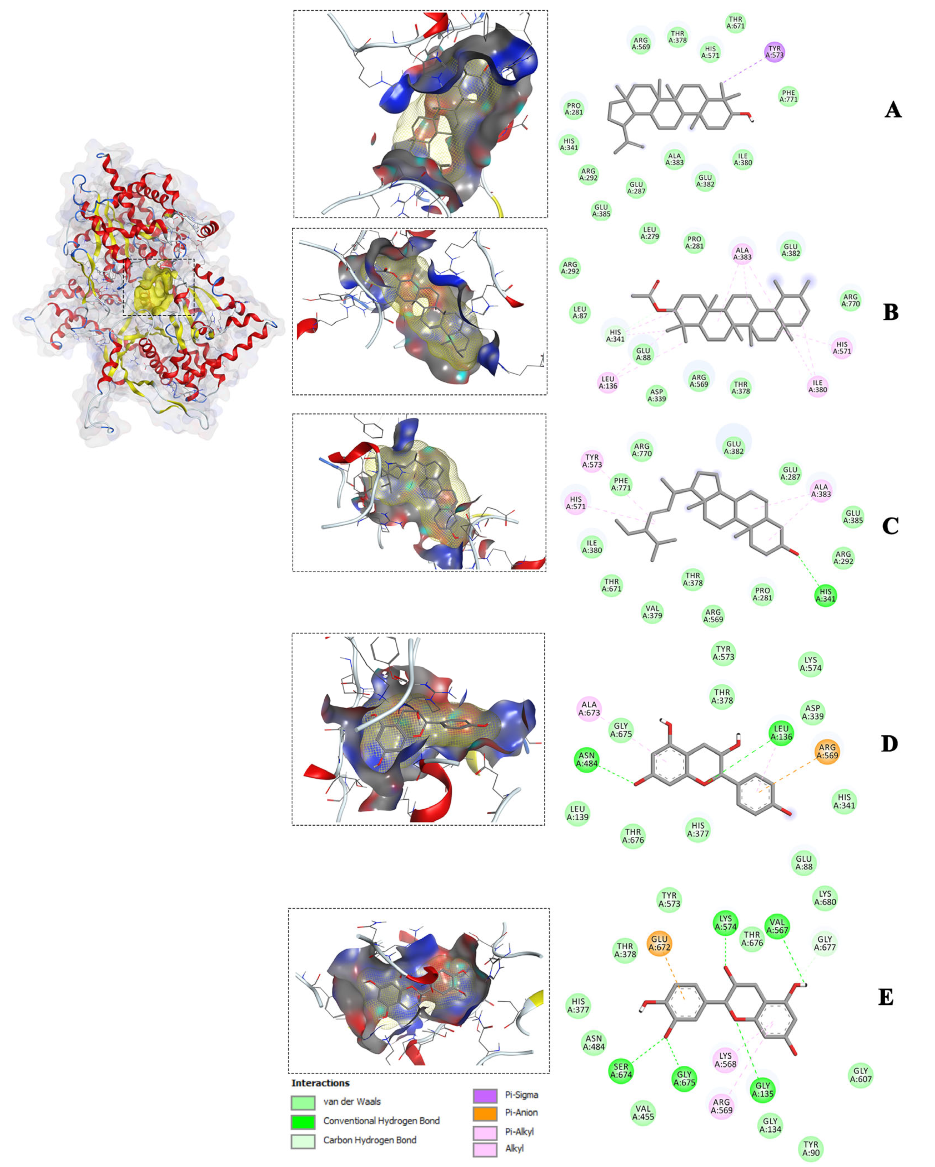 Molecules 28 07717 g003