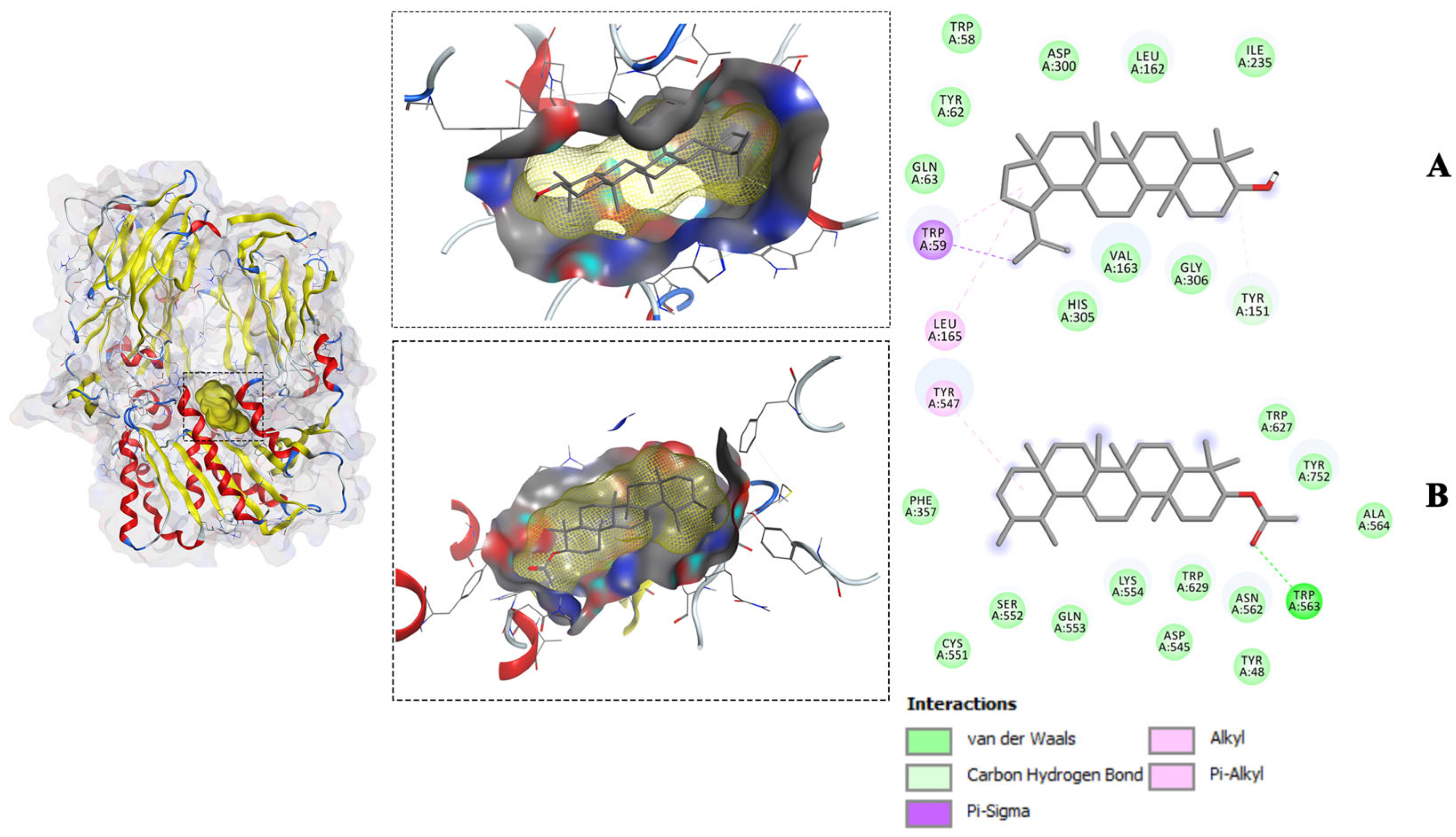 Molecules 28 07717 g004