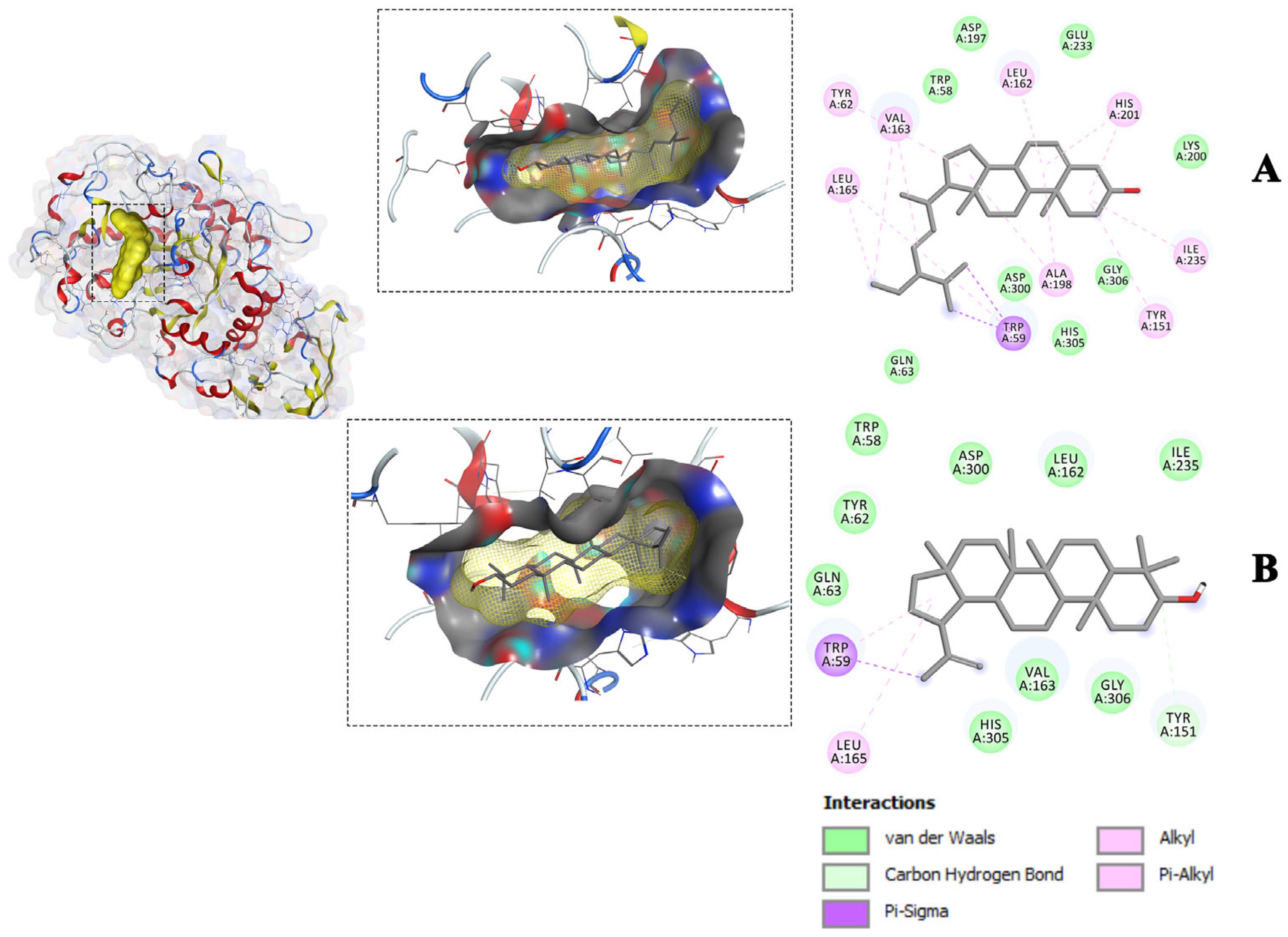 Molecules 28 07717 g005