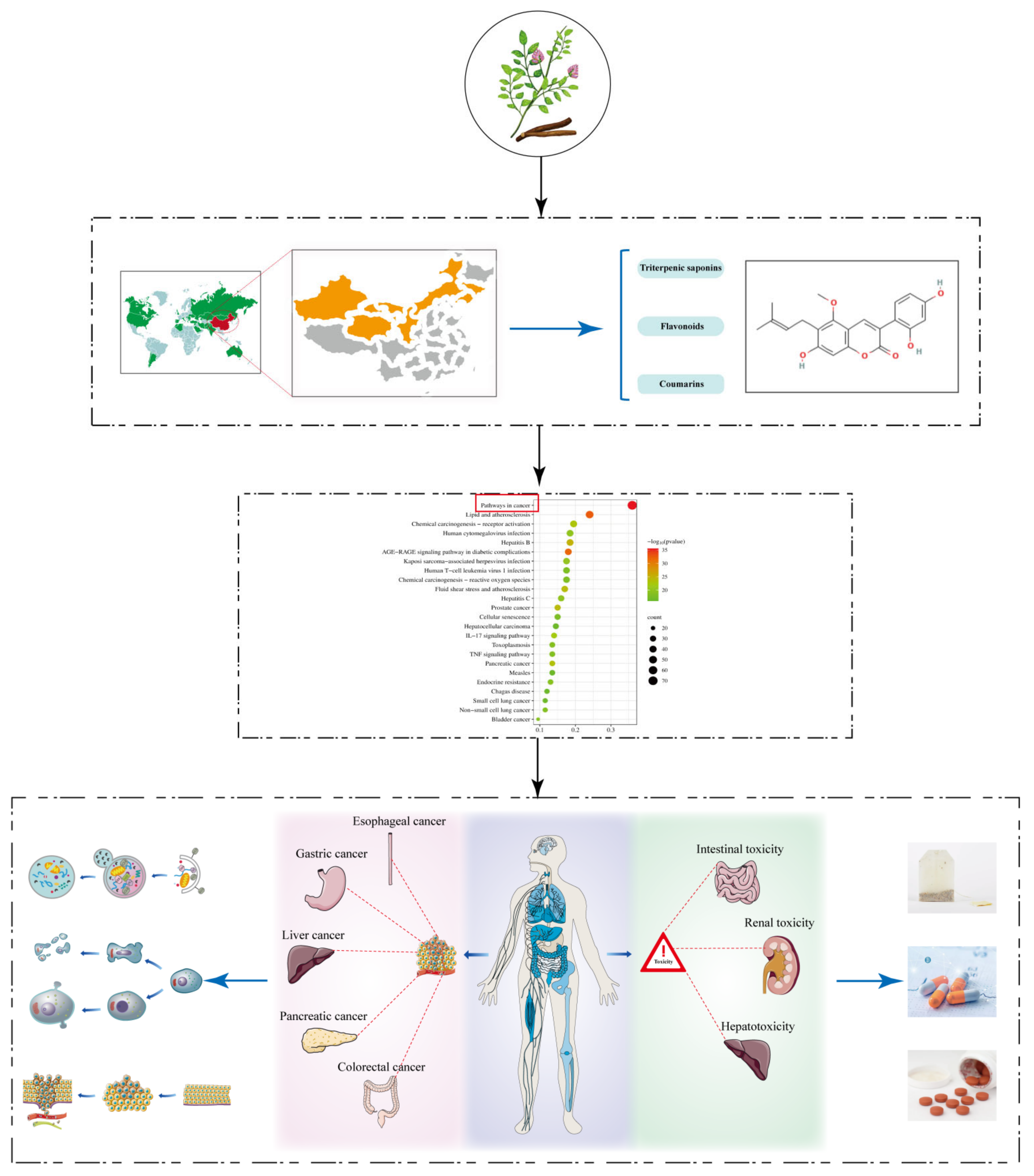 Molecules 28 07719 g002