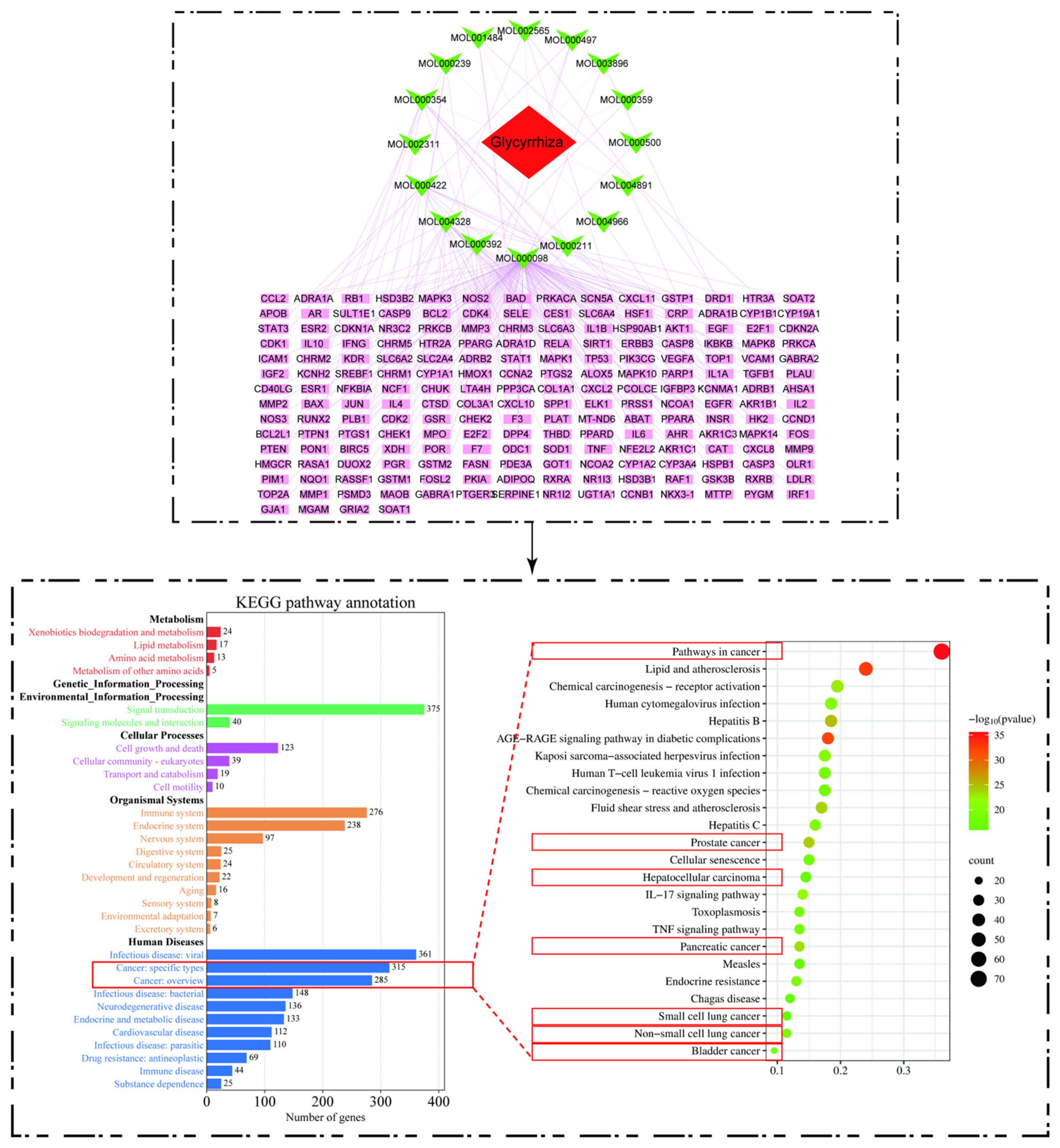Molecules 28 07719 g005