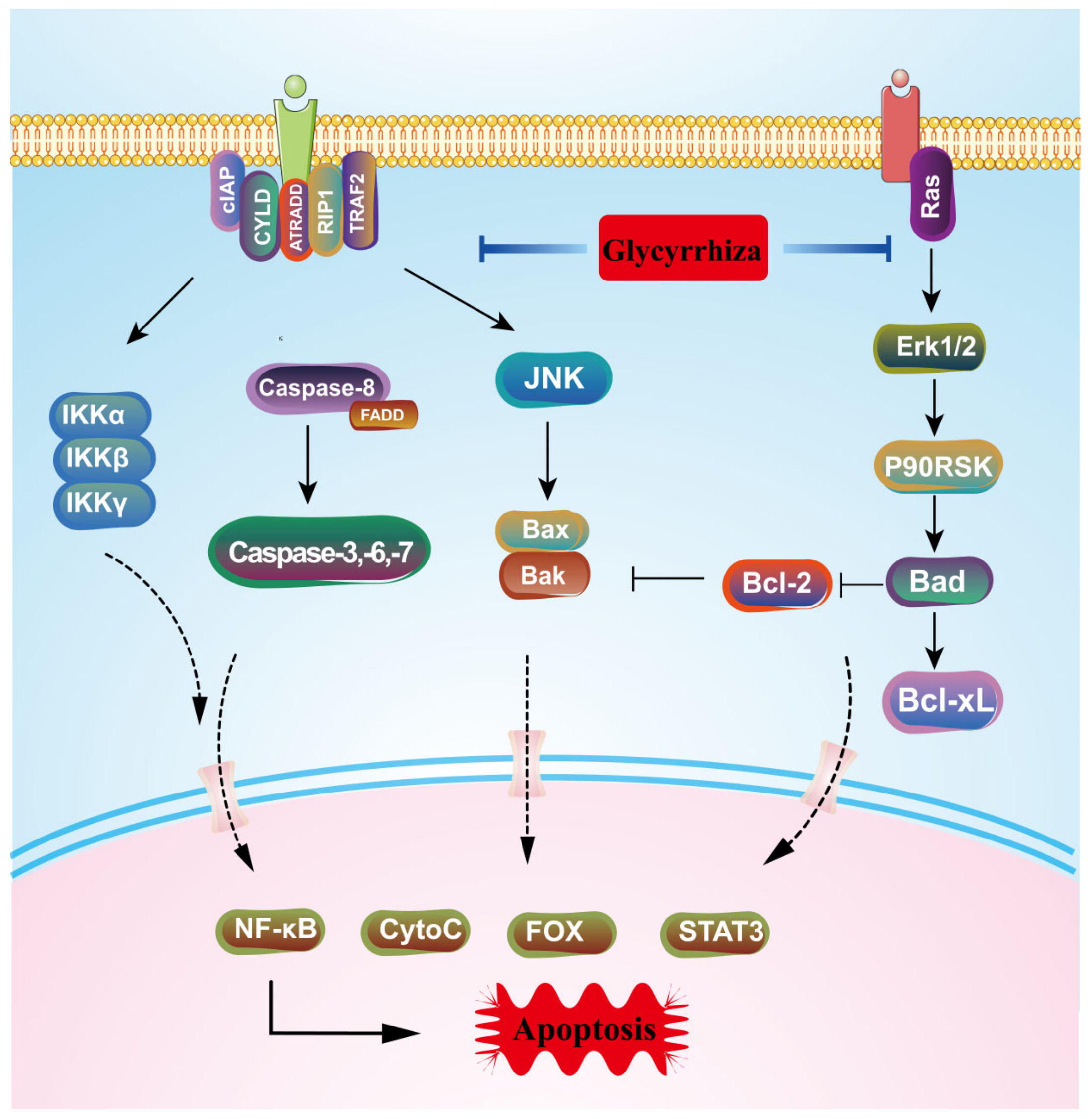 Molecules 28 07719 g007