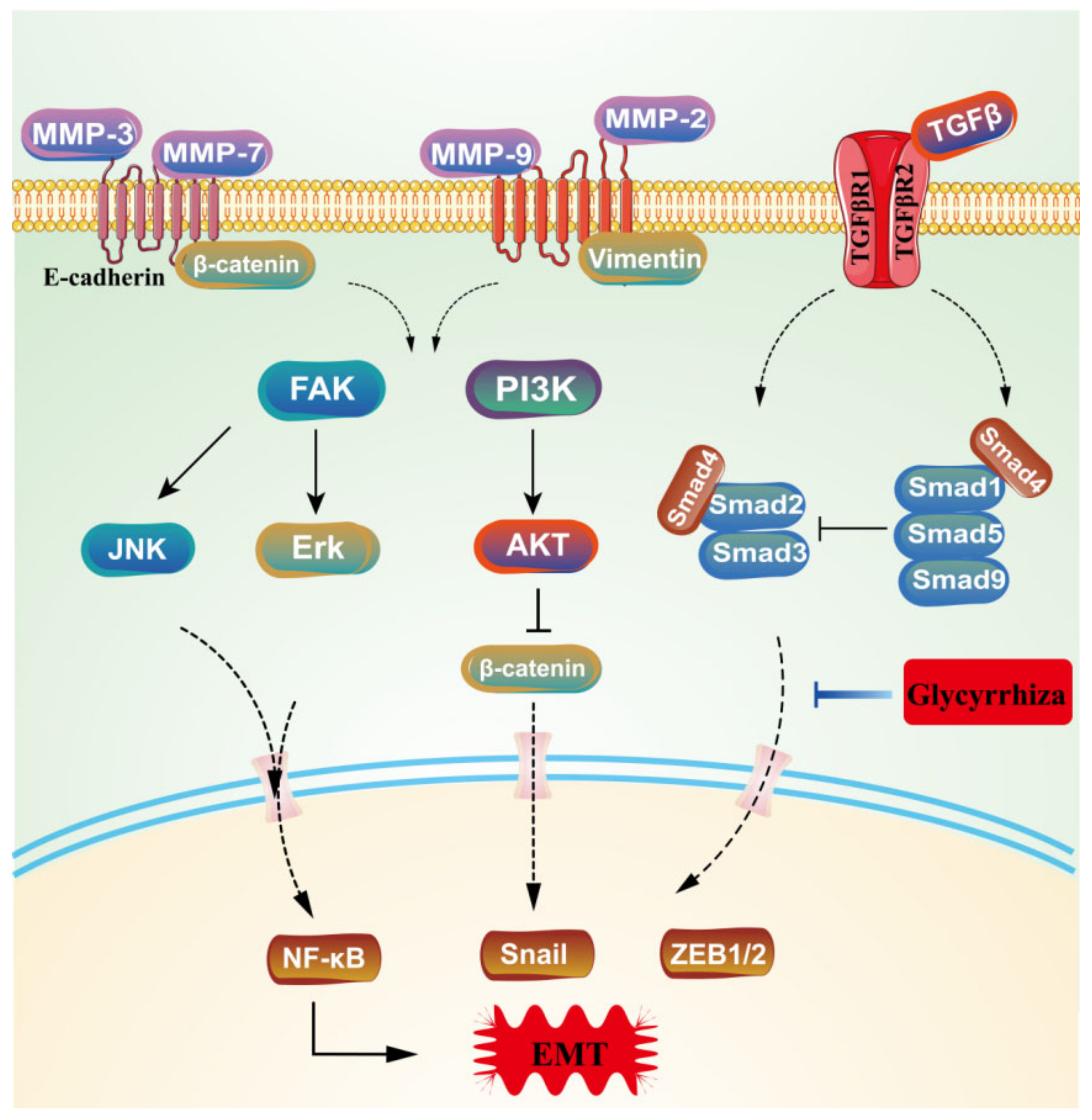 Molecules 28 07719 g008