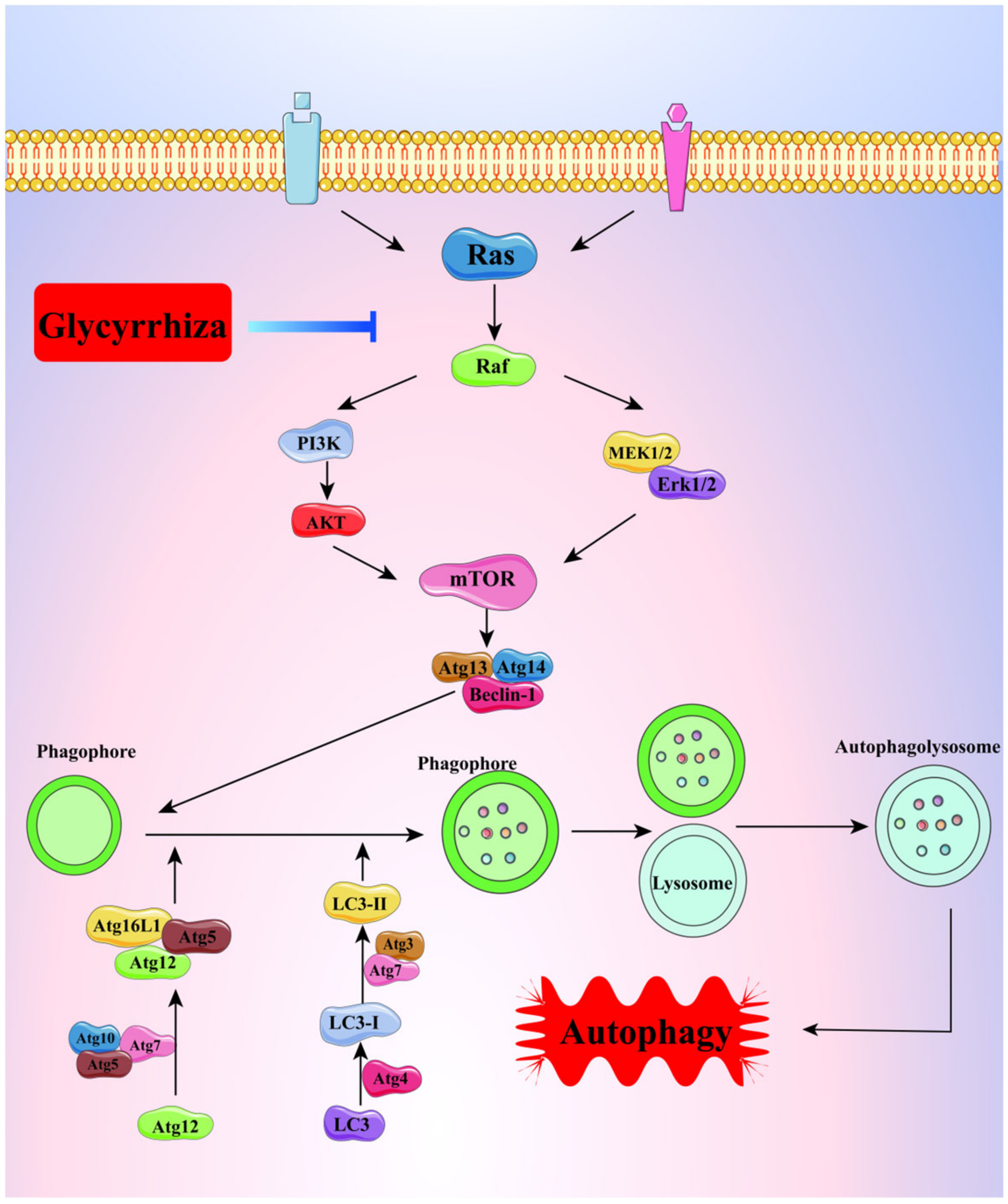 Molecules 28 07719 g009