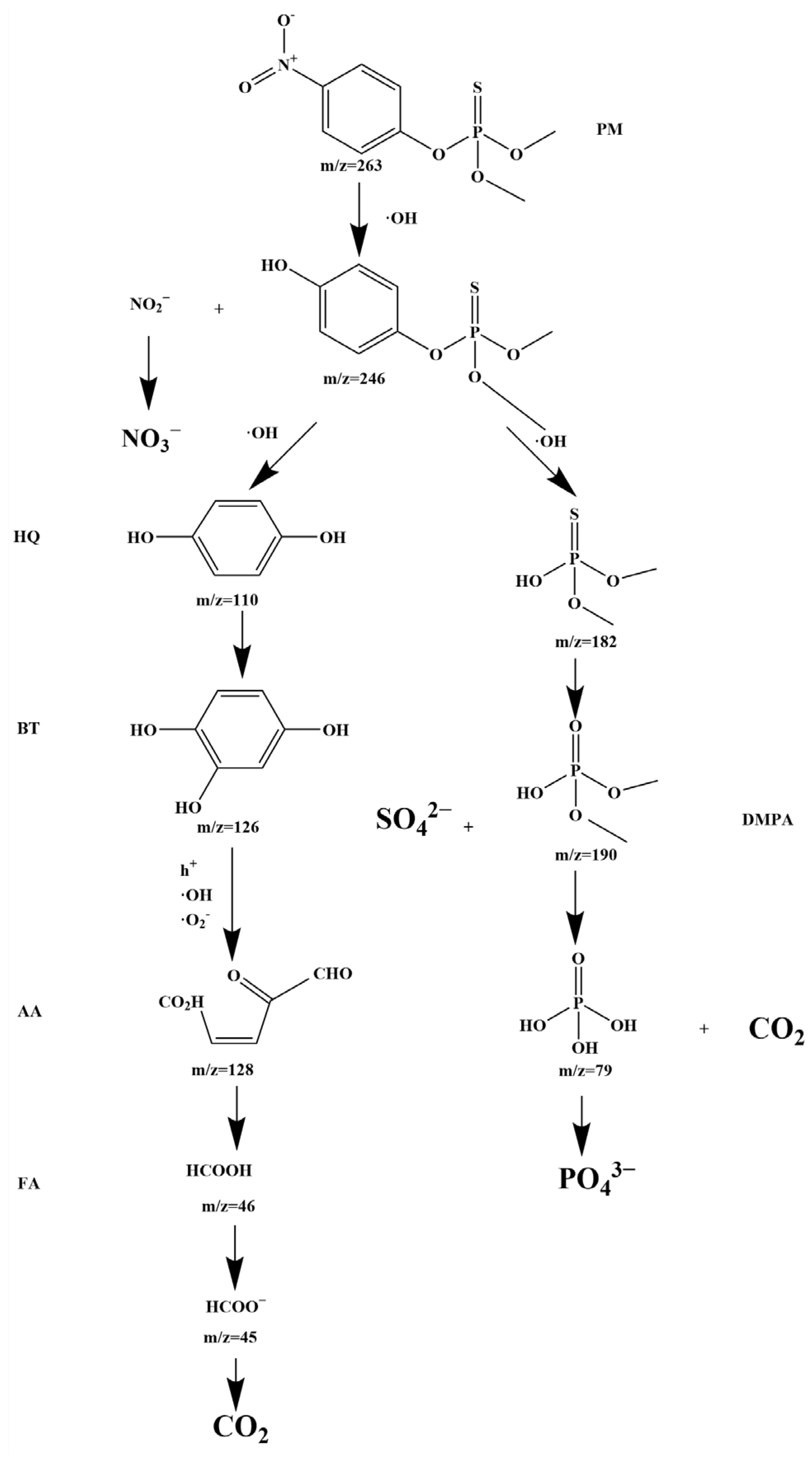 Molecules 28 07722 g025