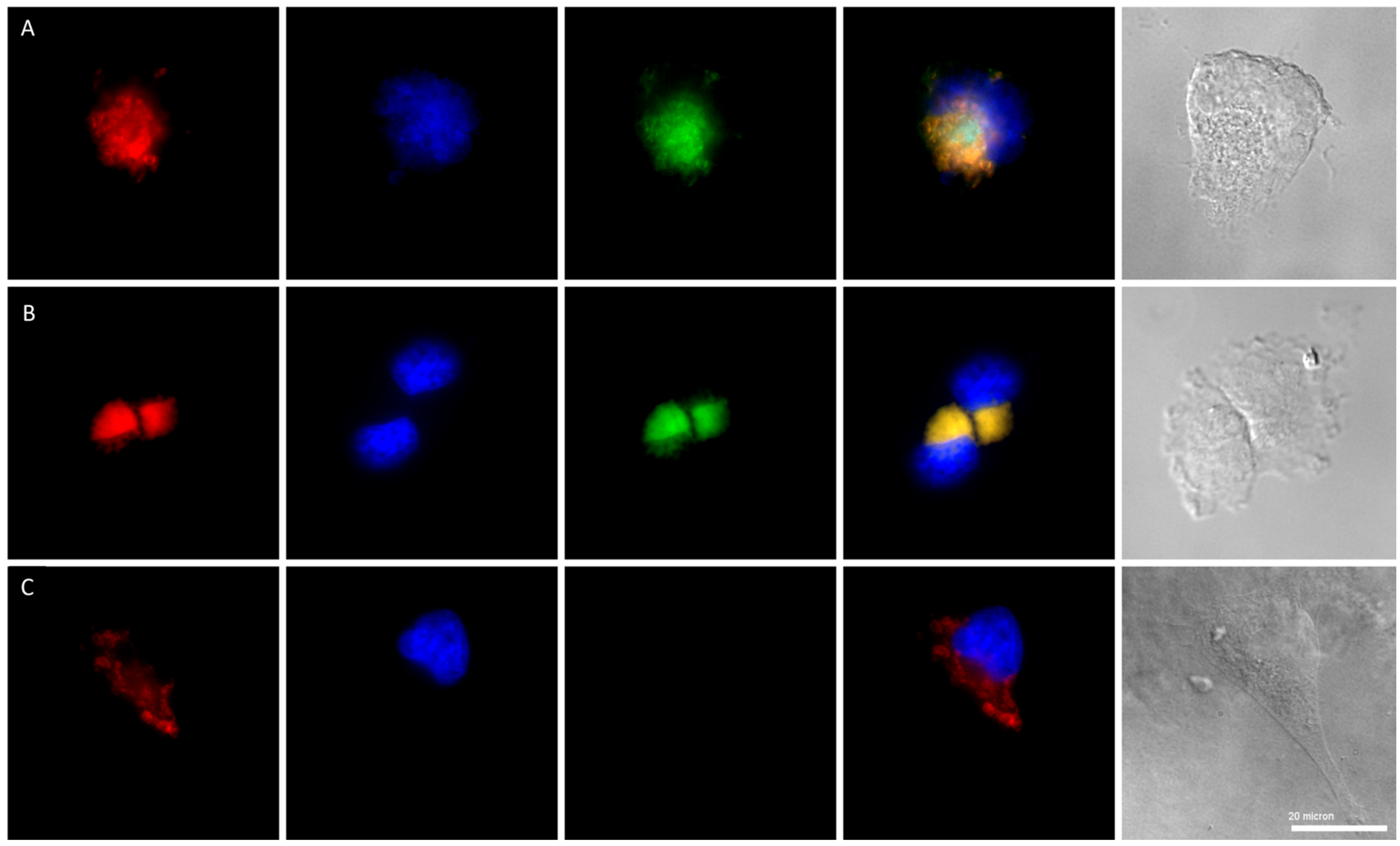 Molecules 28 07728 g002