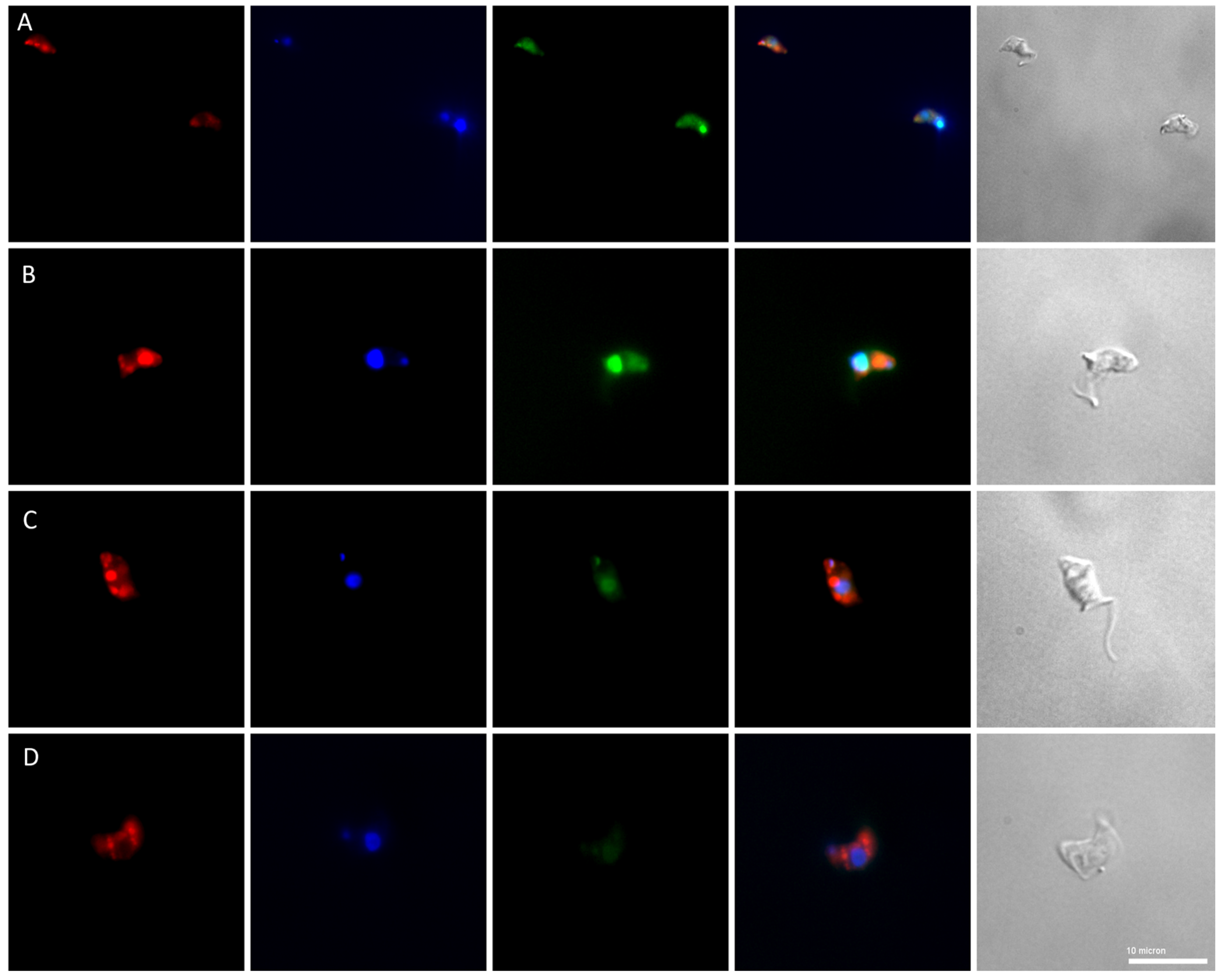 Molecules 28 07728 g003