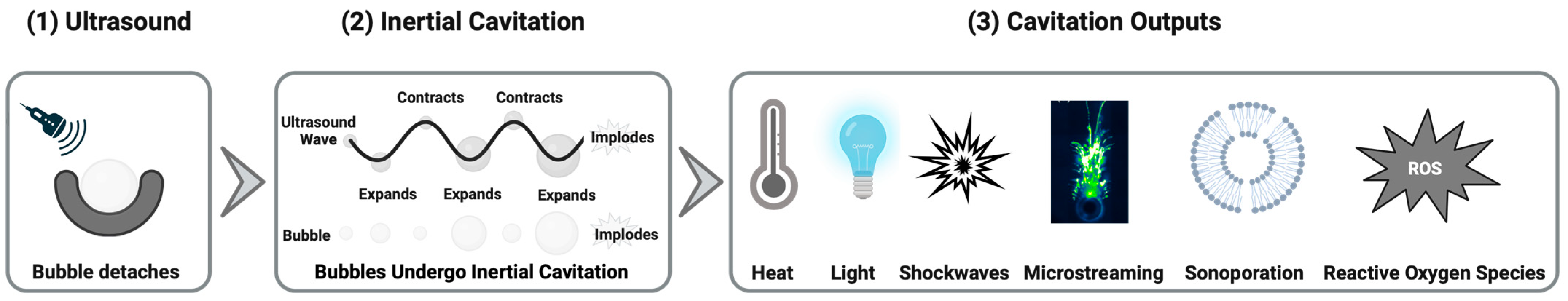 Molecules 28 07733 g001
