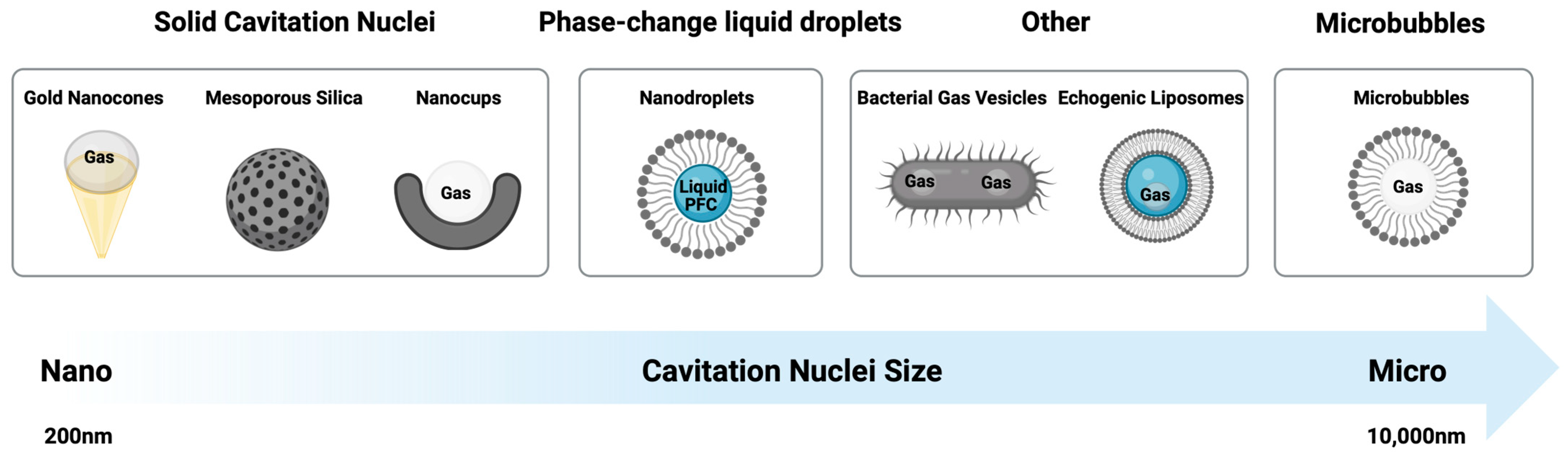 Molecules 28 07733 g002