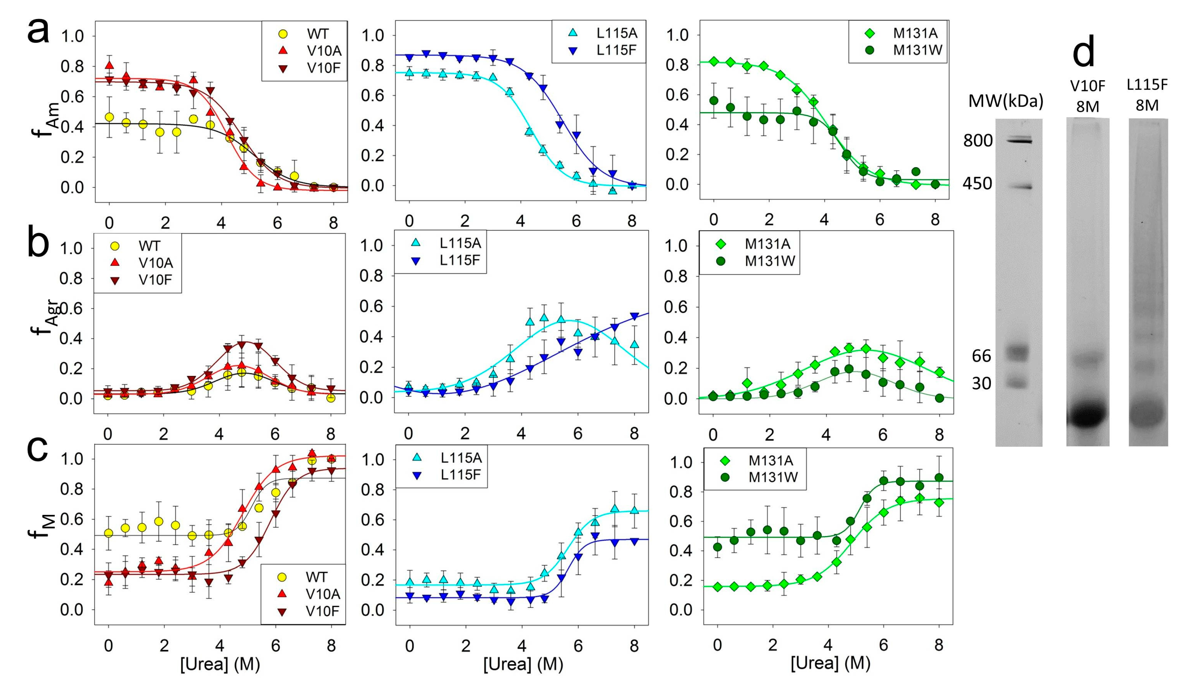 Molecules 28 07736 g006