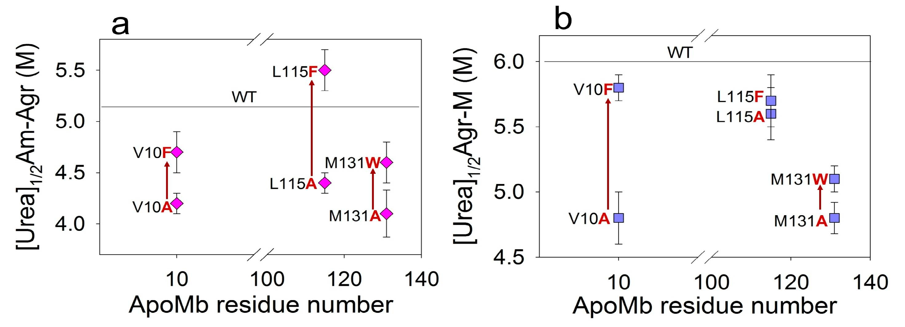 Molecules 28 07736 g007