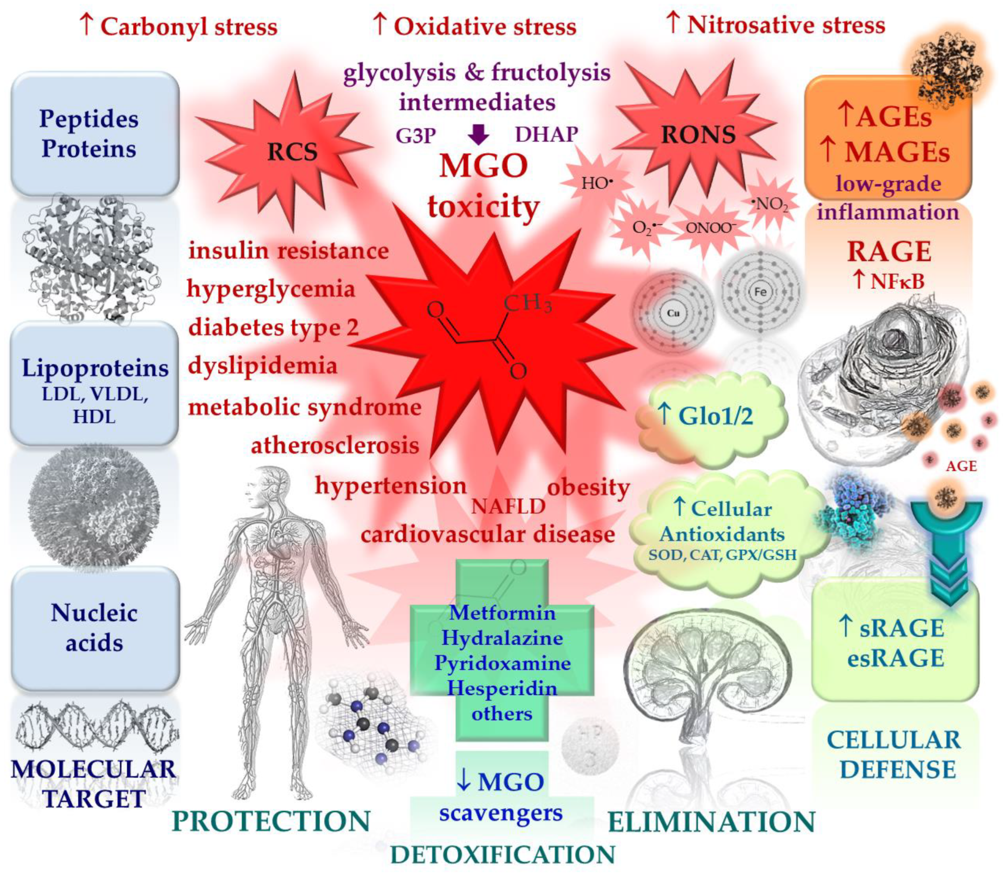 Molecules 28 07742 g003 Molecules 28 07742 g003