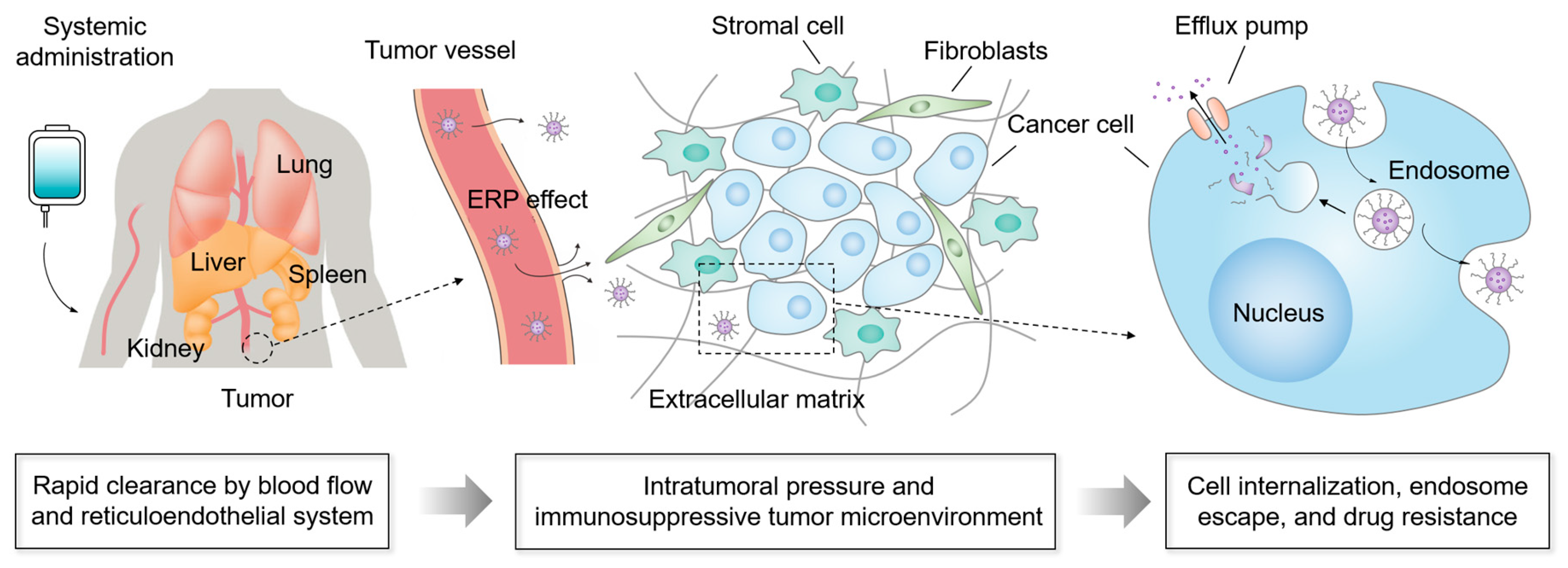 Molecules 28 07750 g001