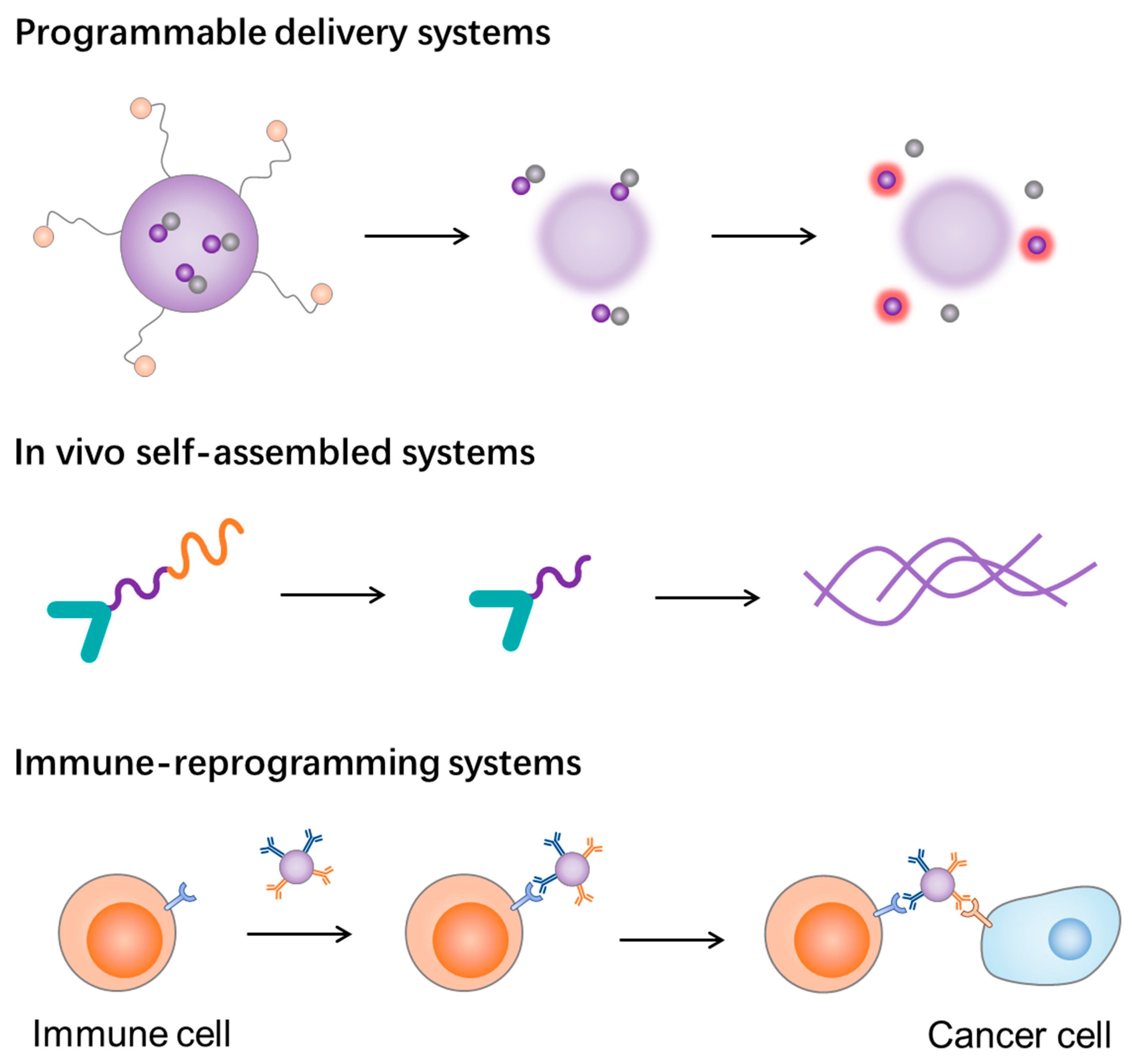 Molecules 28 07750 g004
