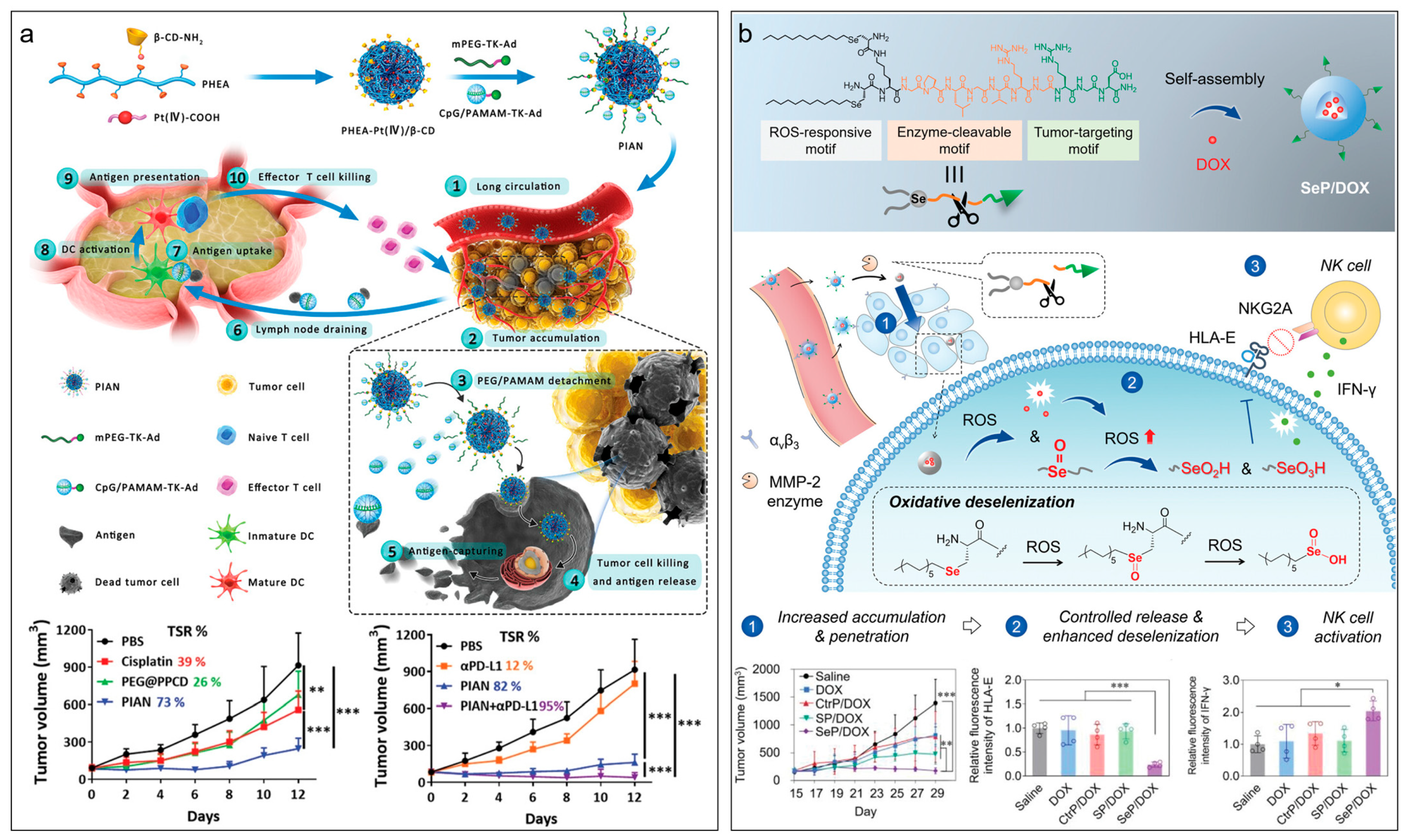 Molecules 28 07750 g005