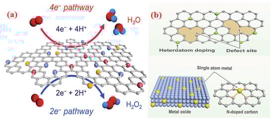 Molecules 28 07751 g003