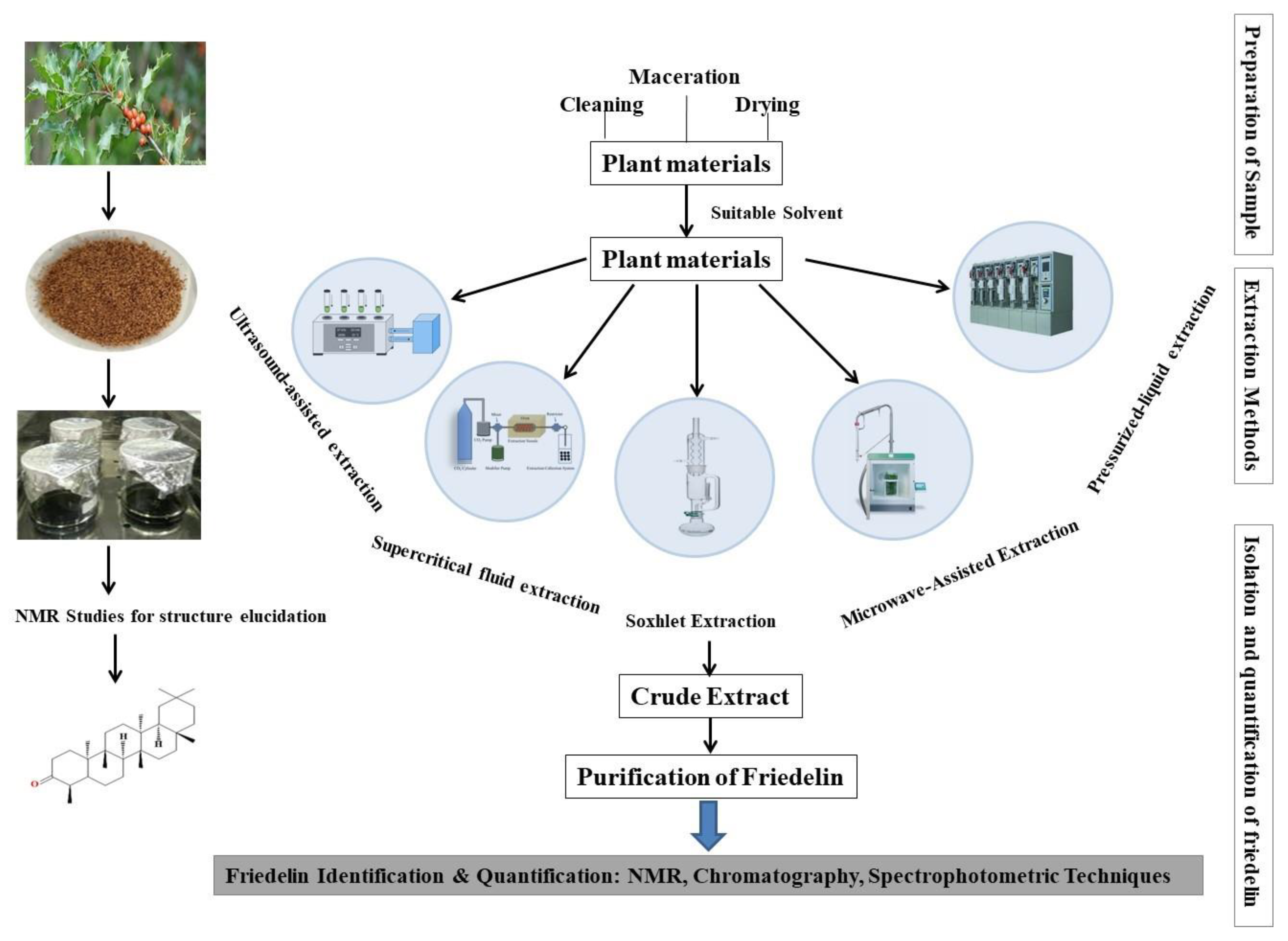 Molecules 28 07760 g003