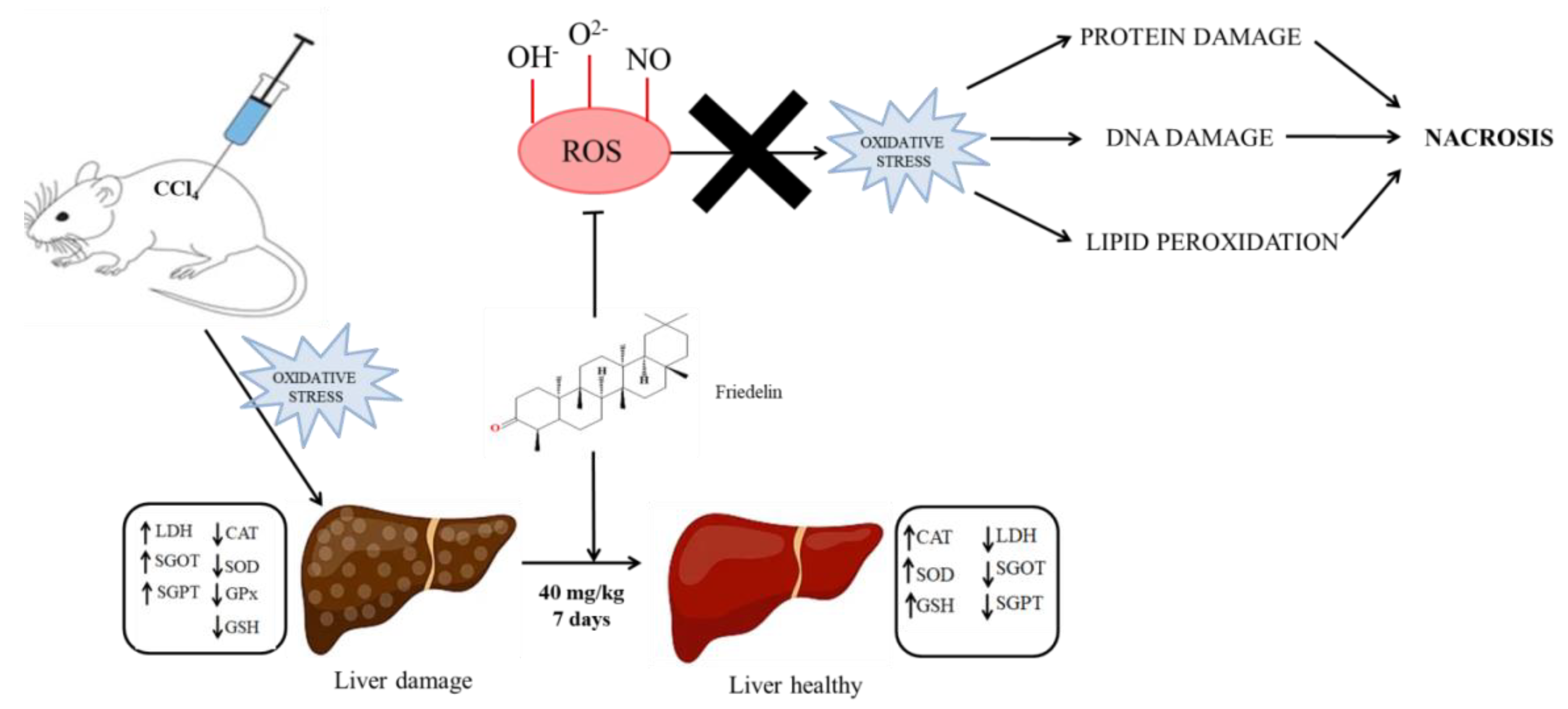 Molecules 28 07760 g004