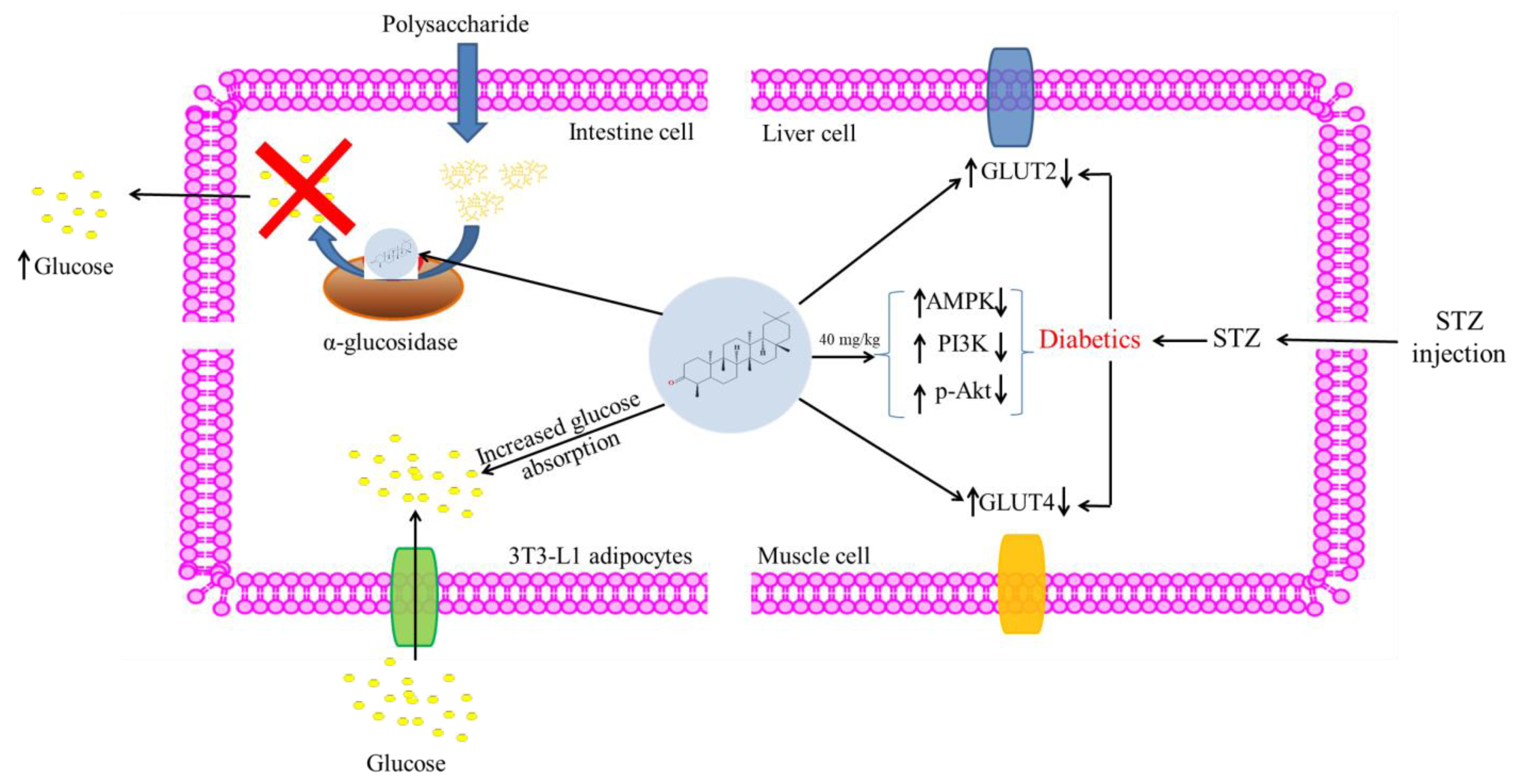 Molecules 28 07760 g006