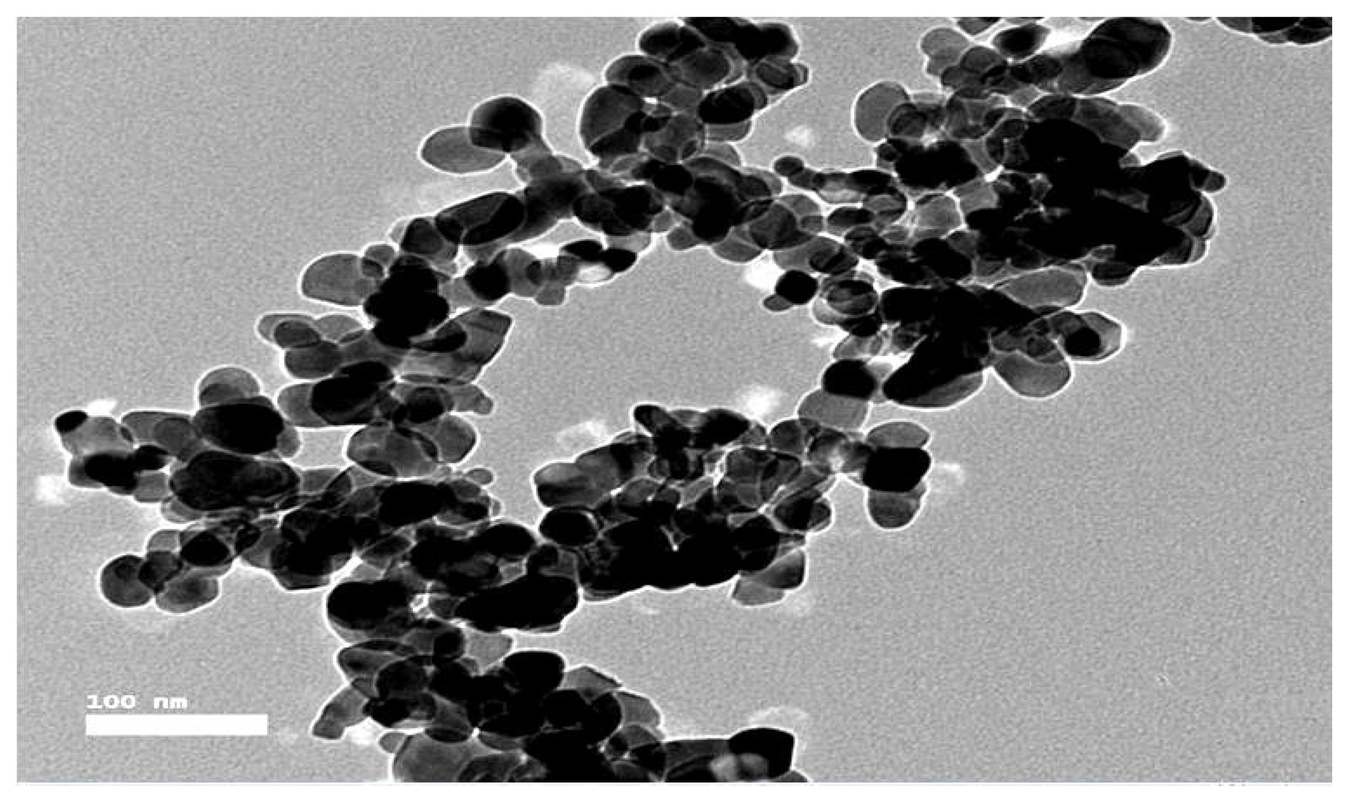 Molecules 28 07762 g003