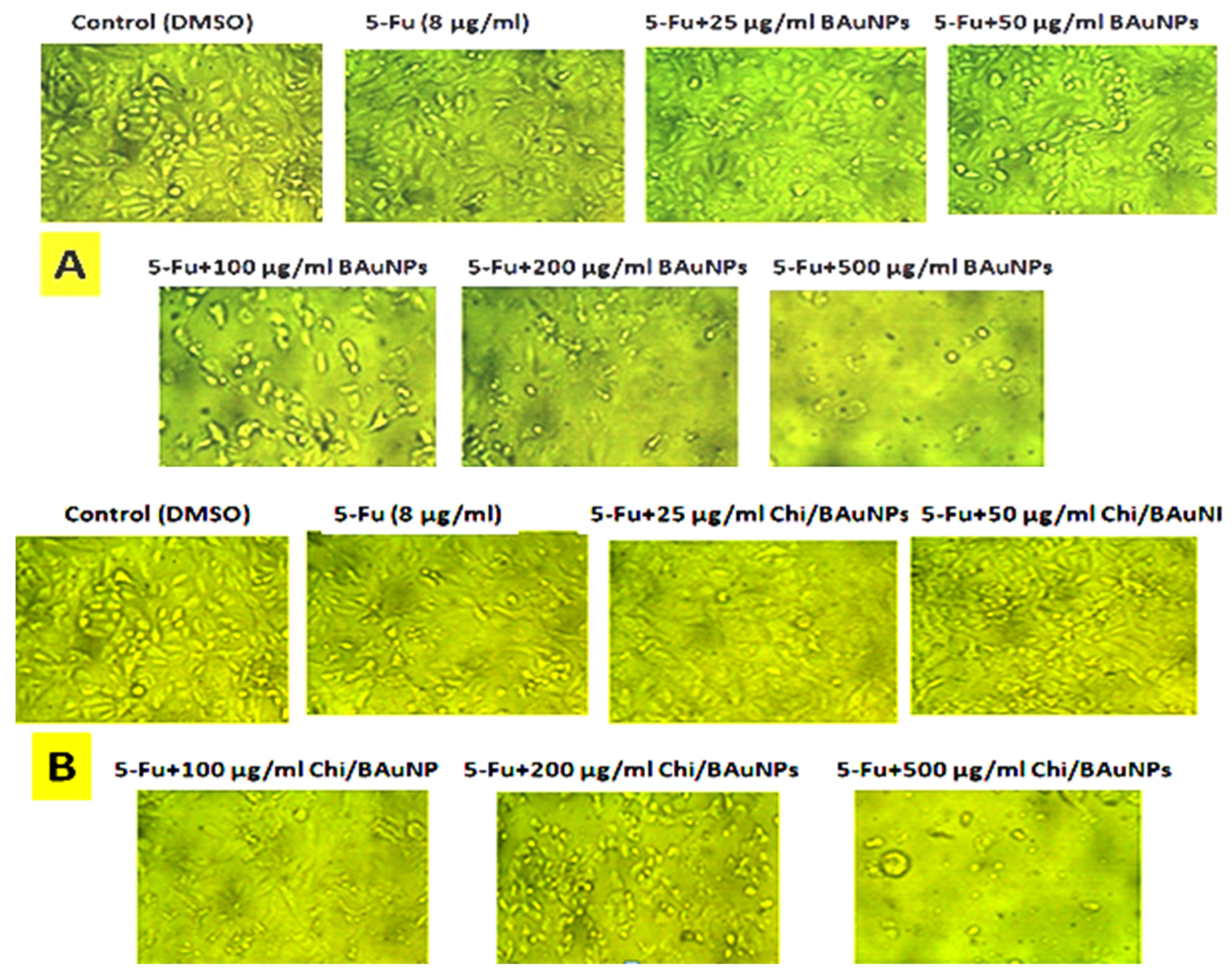 Molecules 28 07762 g010