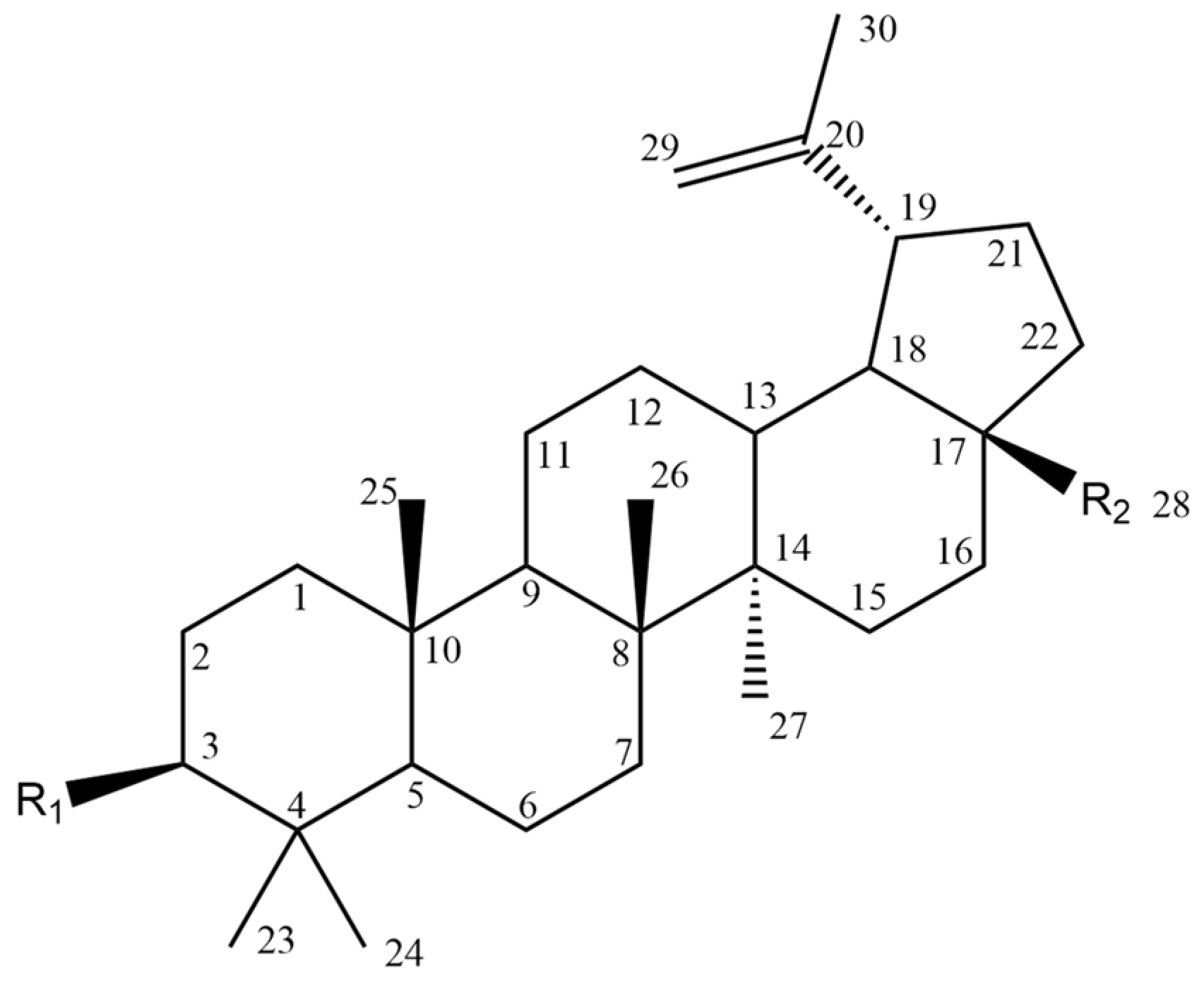 Molecules 28 07763 g002