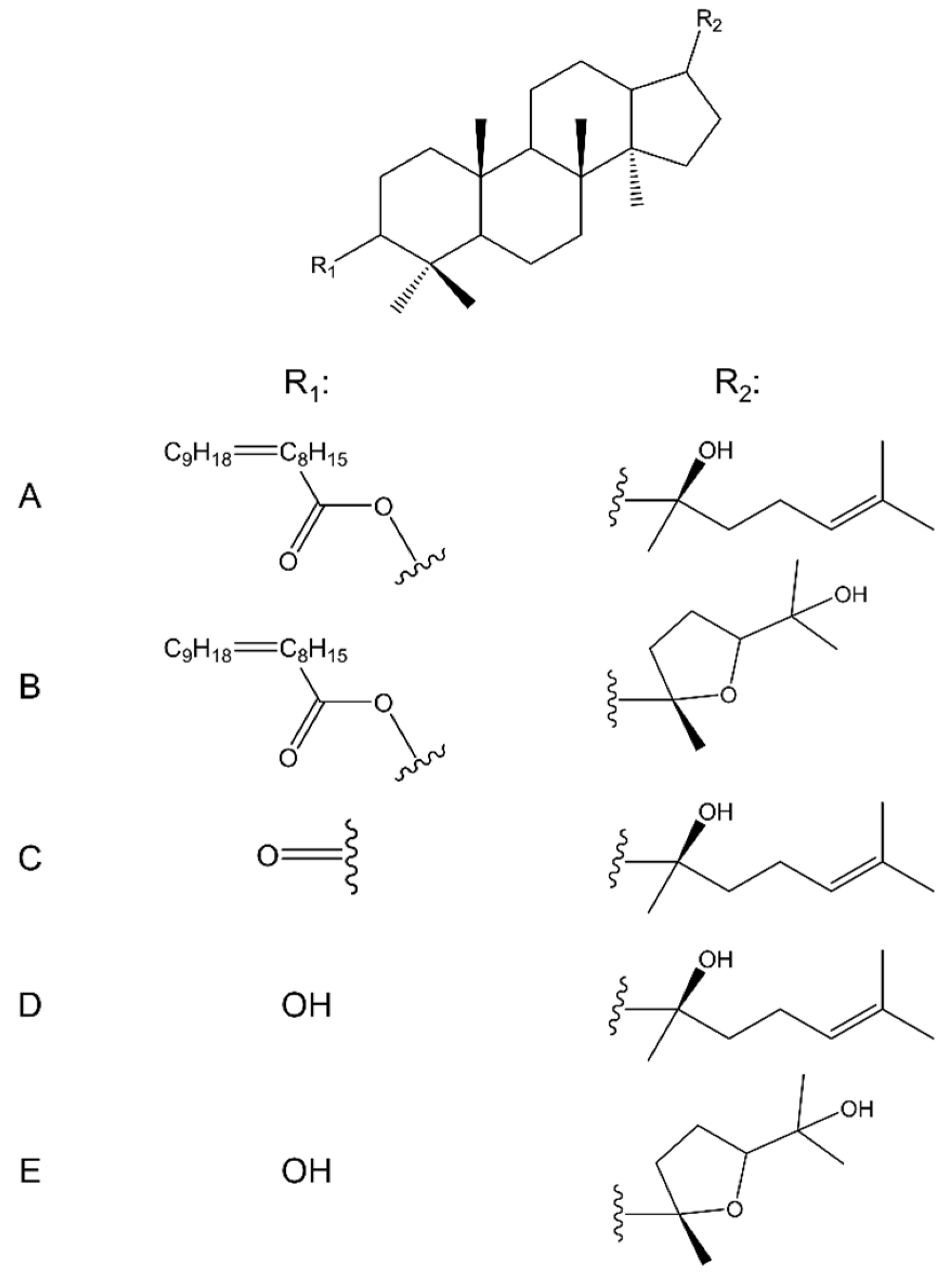 Molecules 28 07763 g005