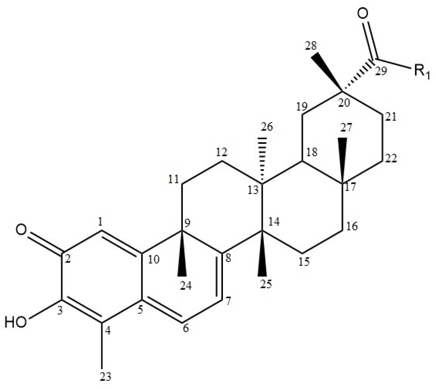 Molecules 28 07763 g012