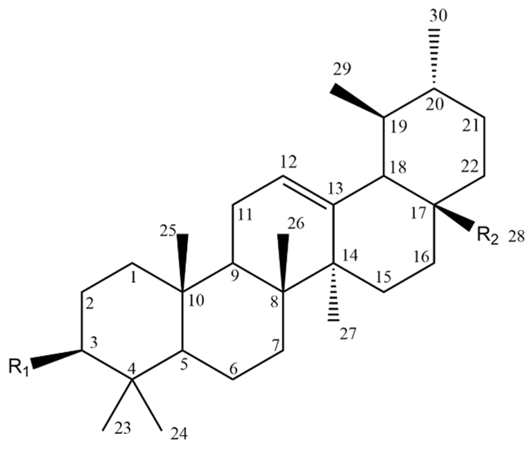 Molecules 28 07763 g013