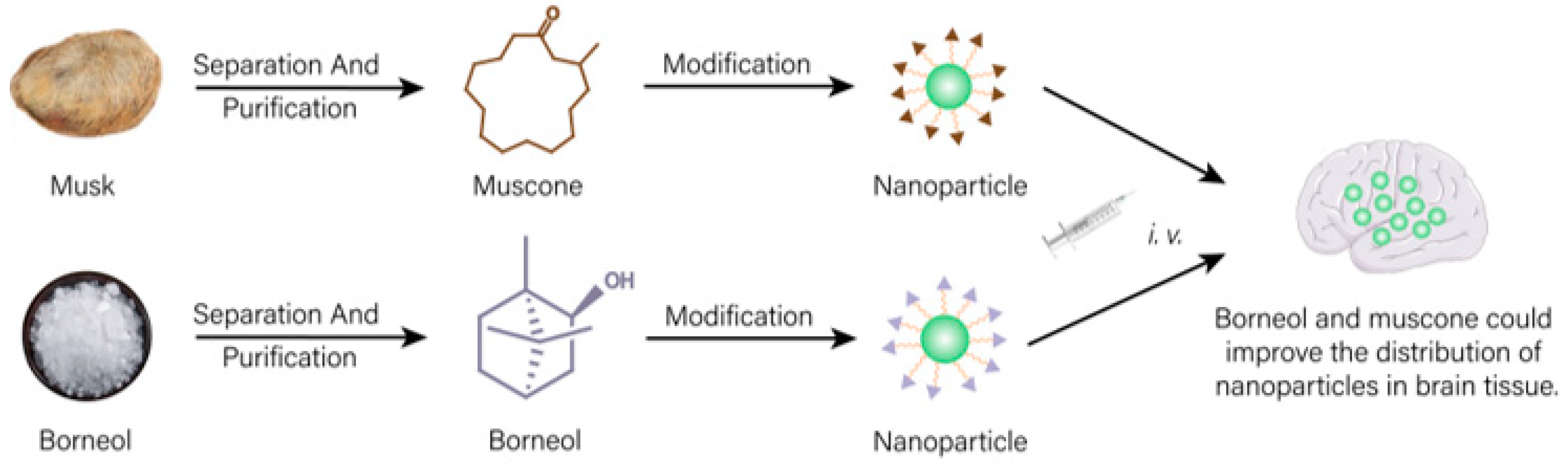 Molecules 28 07767 g004