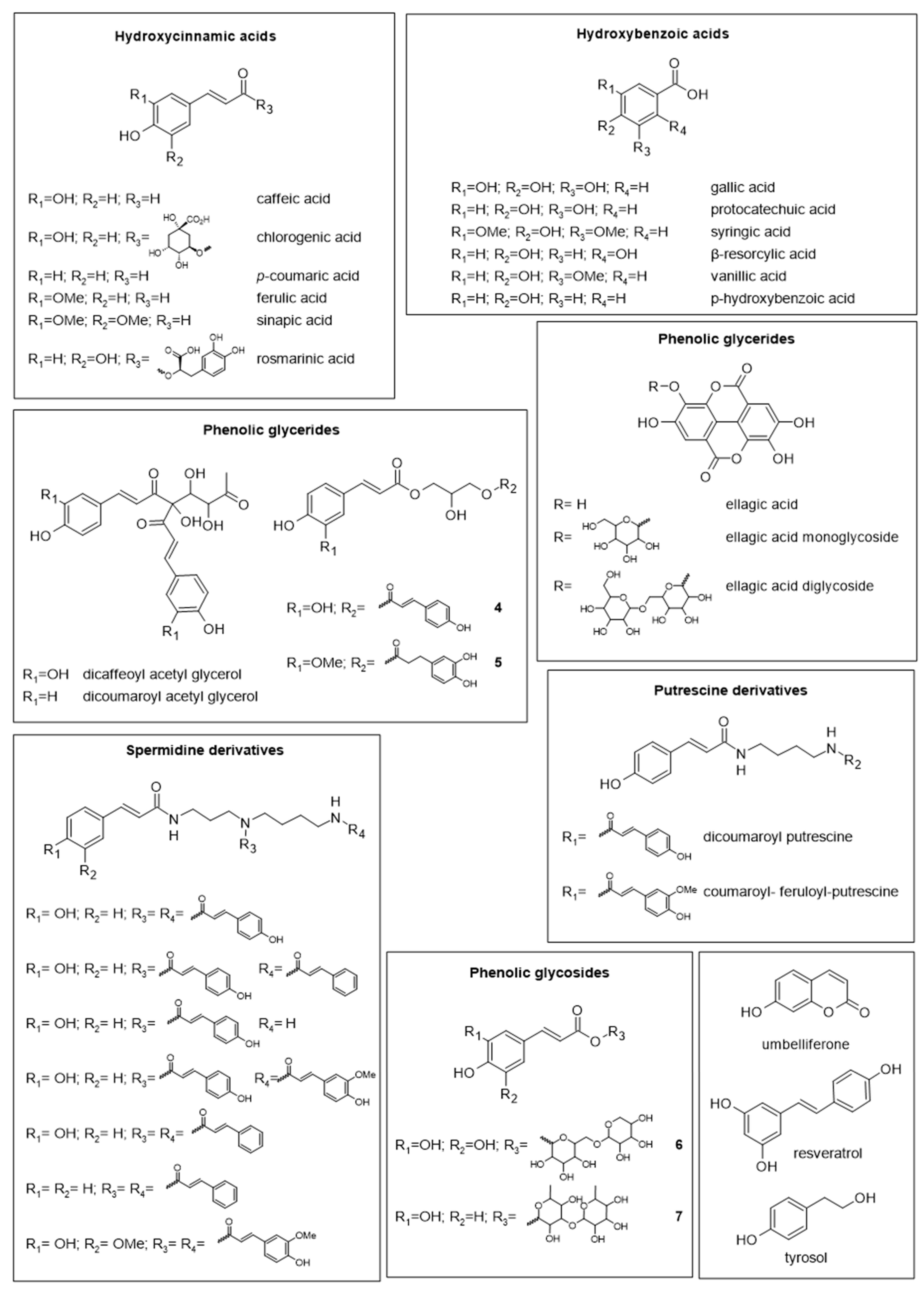 Molecules 28 07768 g004