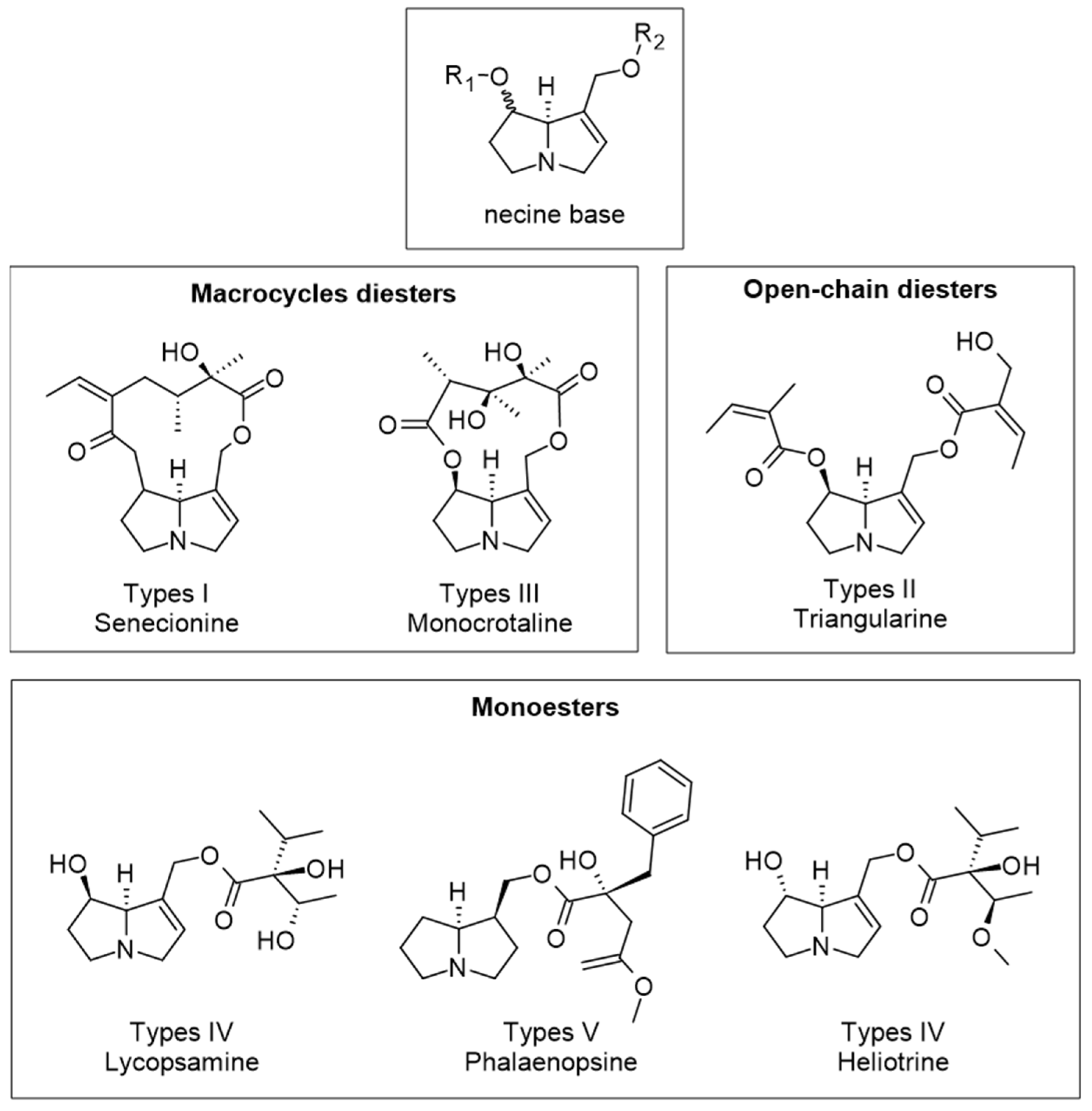 Molecules 28 07768 g005