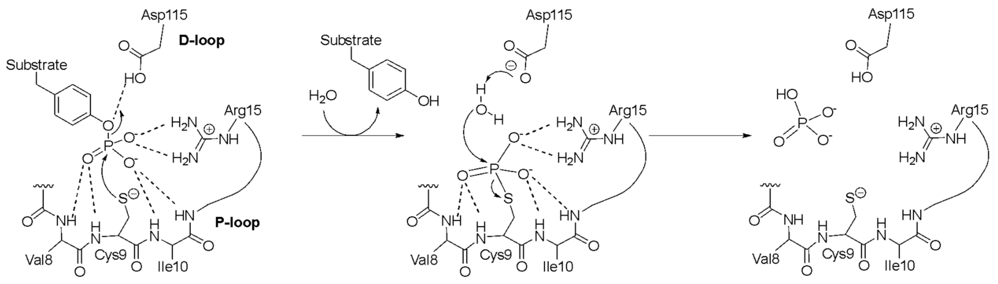 Molecules 28 07774 sch001