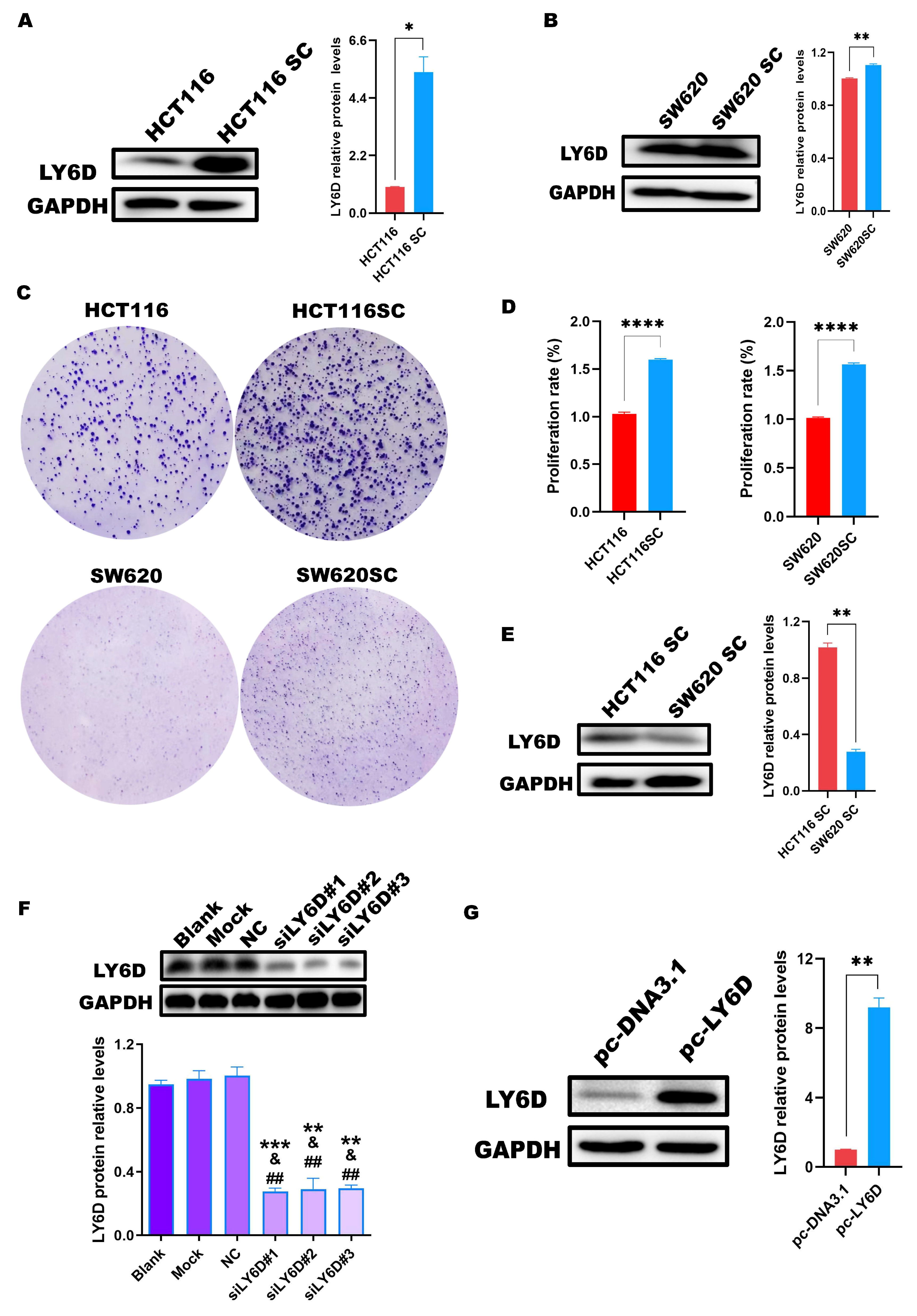 Molecules 28 07776 g002