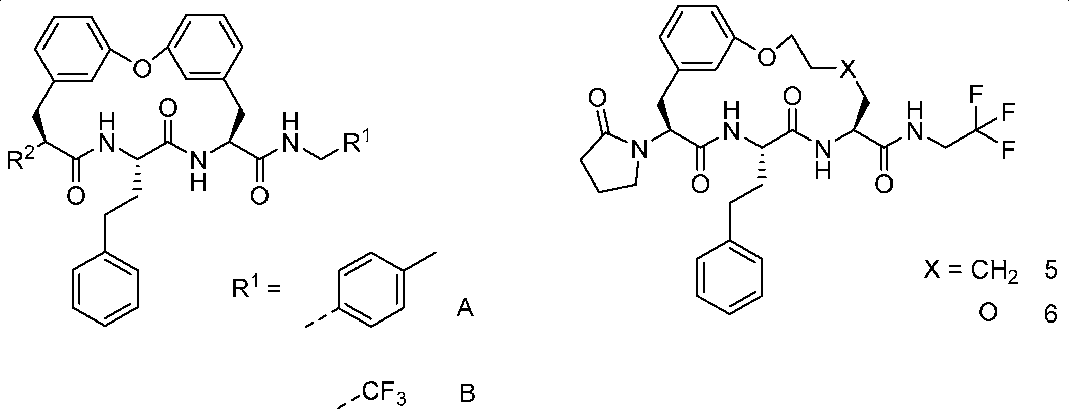 Molecules 28 07778 i041