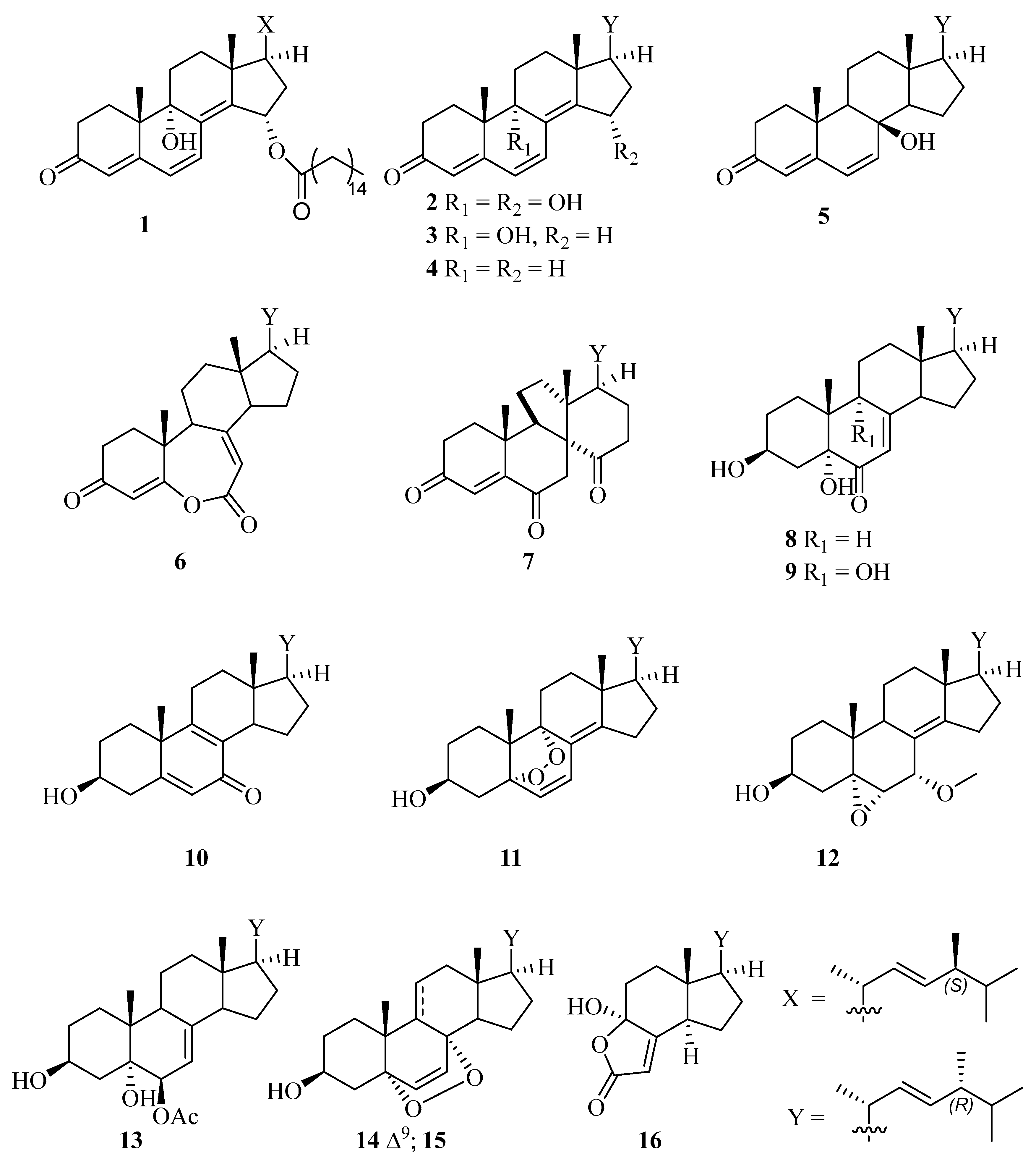 Molecules 28 07784 g001