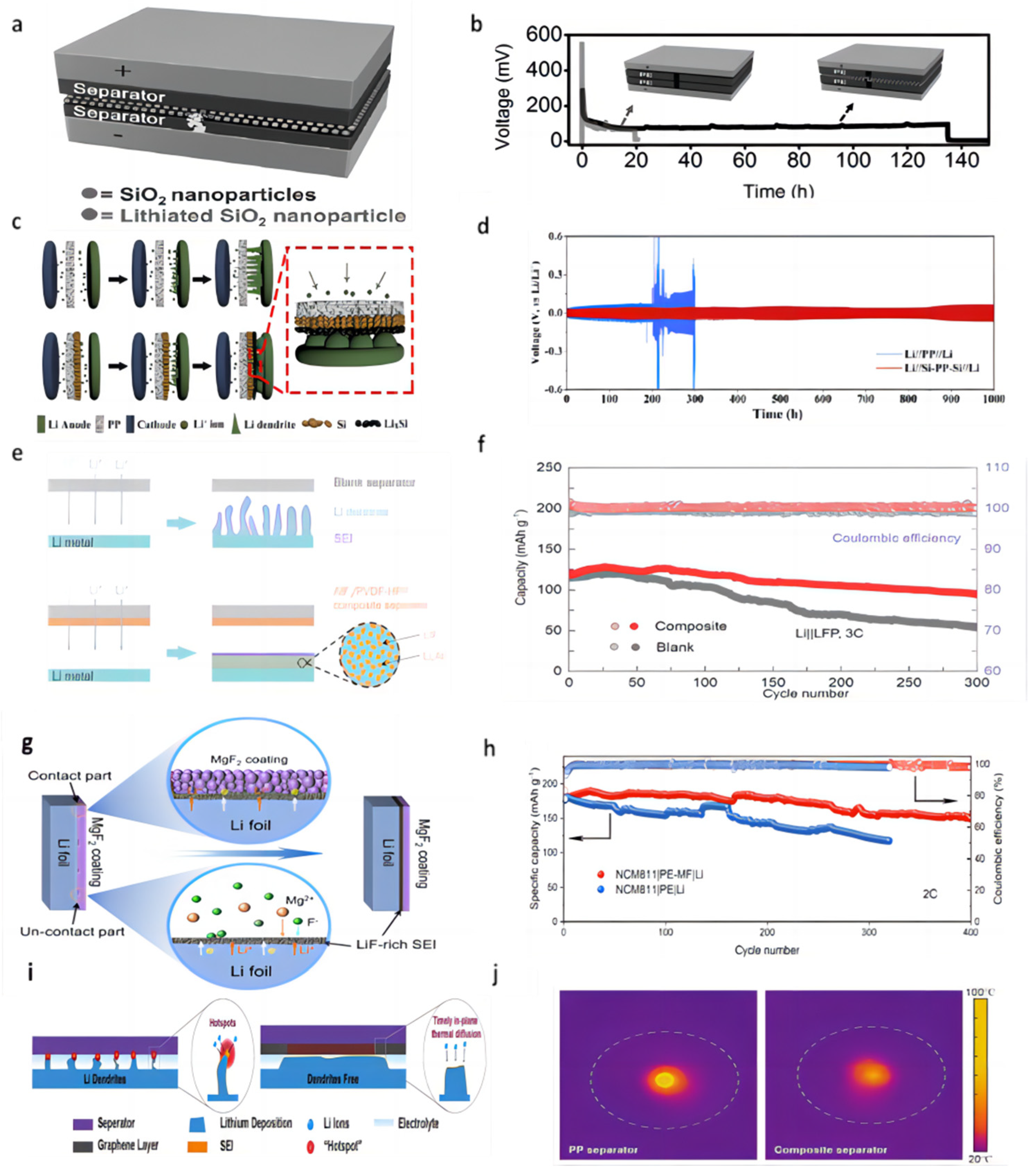 Molecules 28 07788 g005