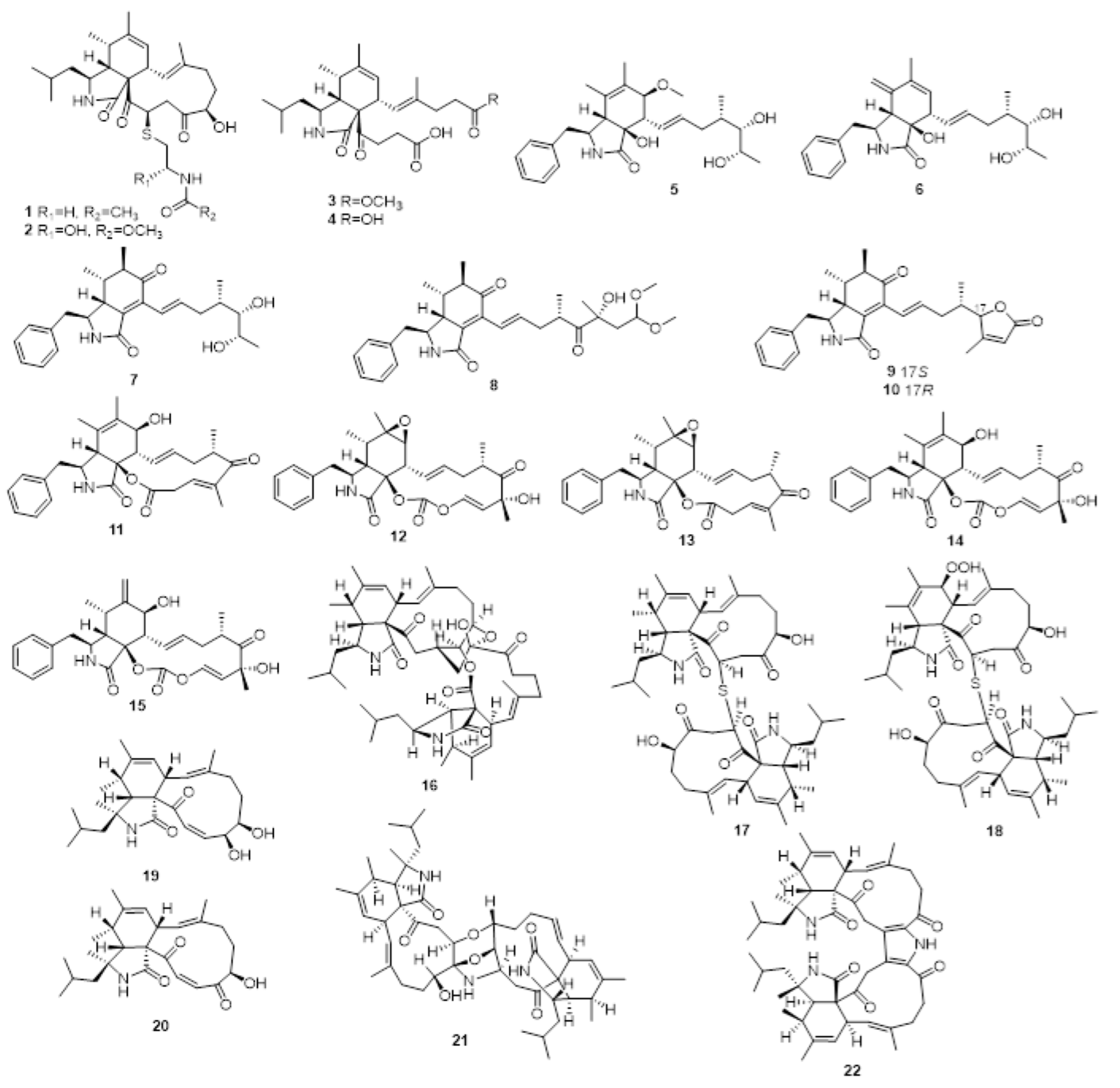 Molecules 28 07789 g001