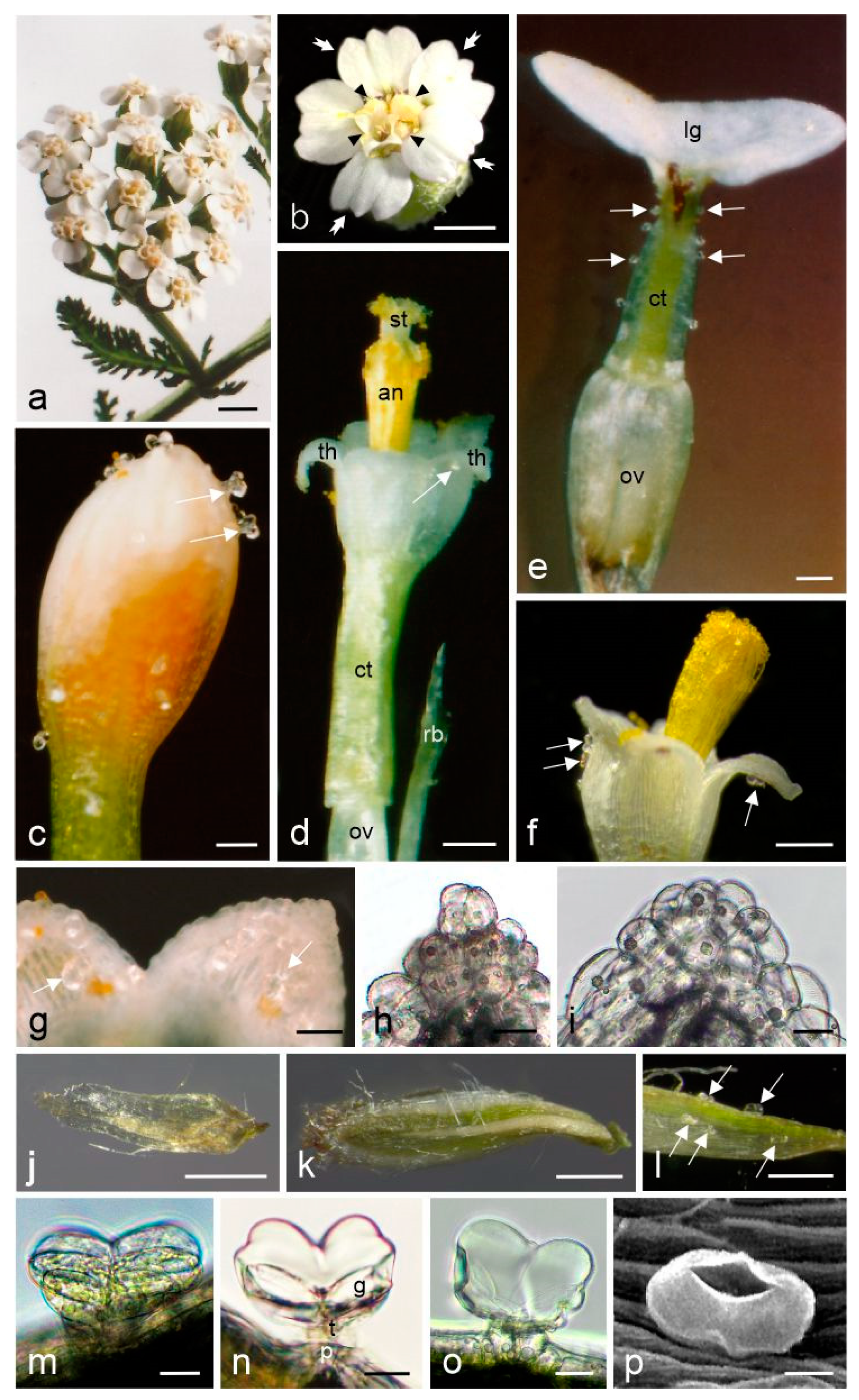 Molecules 28 07791 g001 Molecules 28 07791 g001