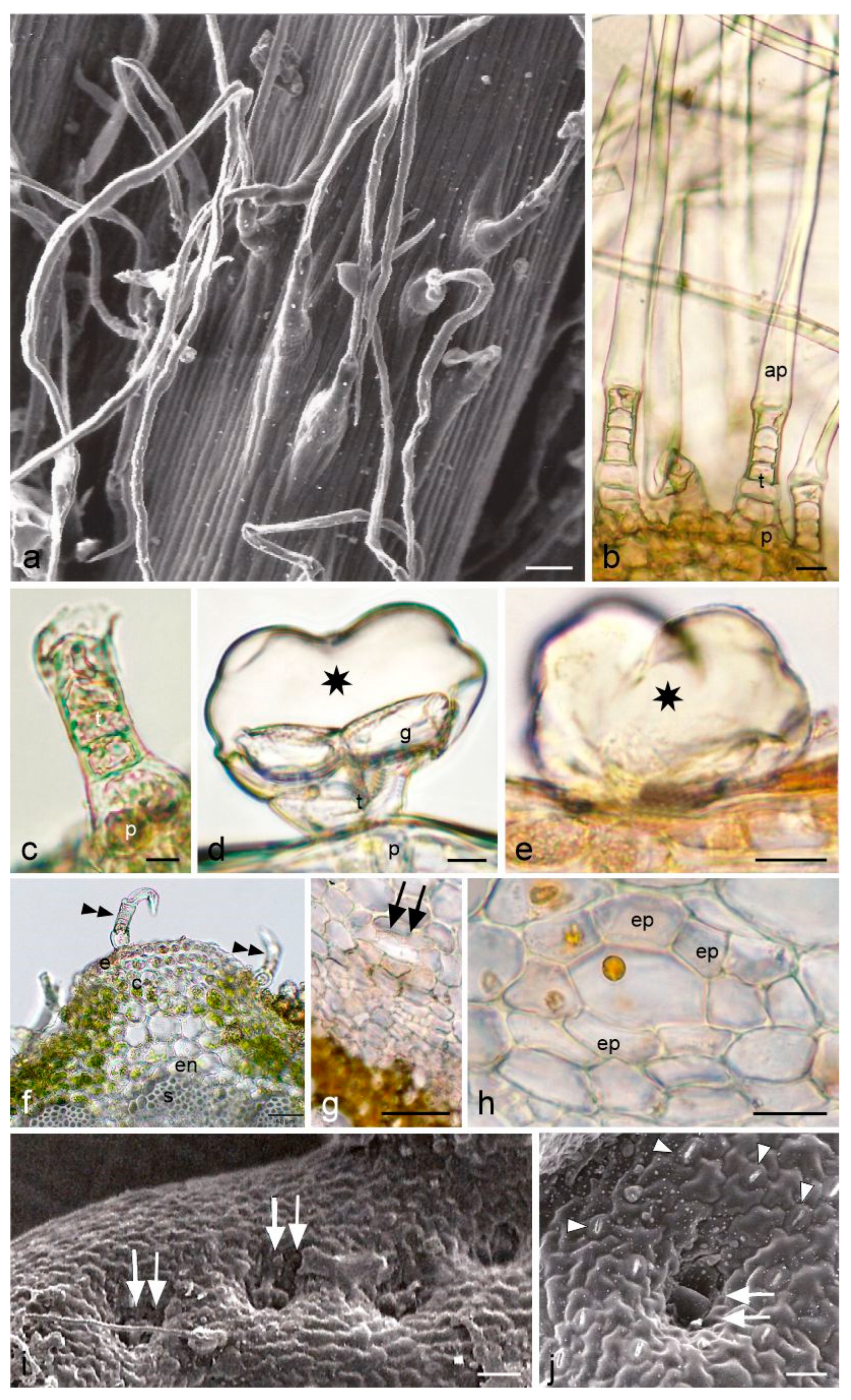Molecules 28 07791 g002 Molecules 28 07791 g002