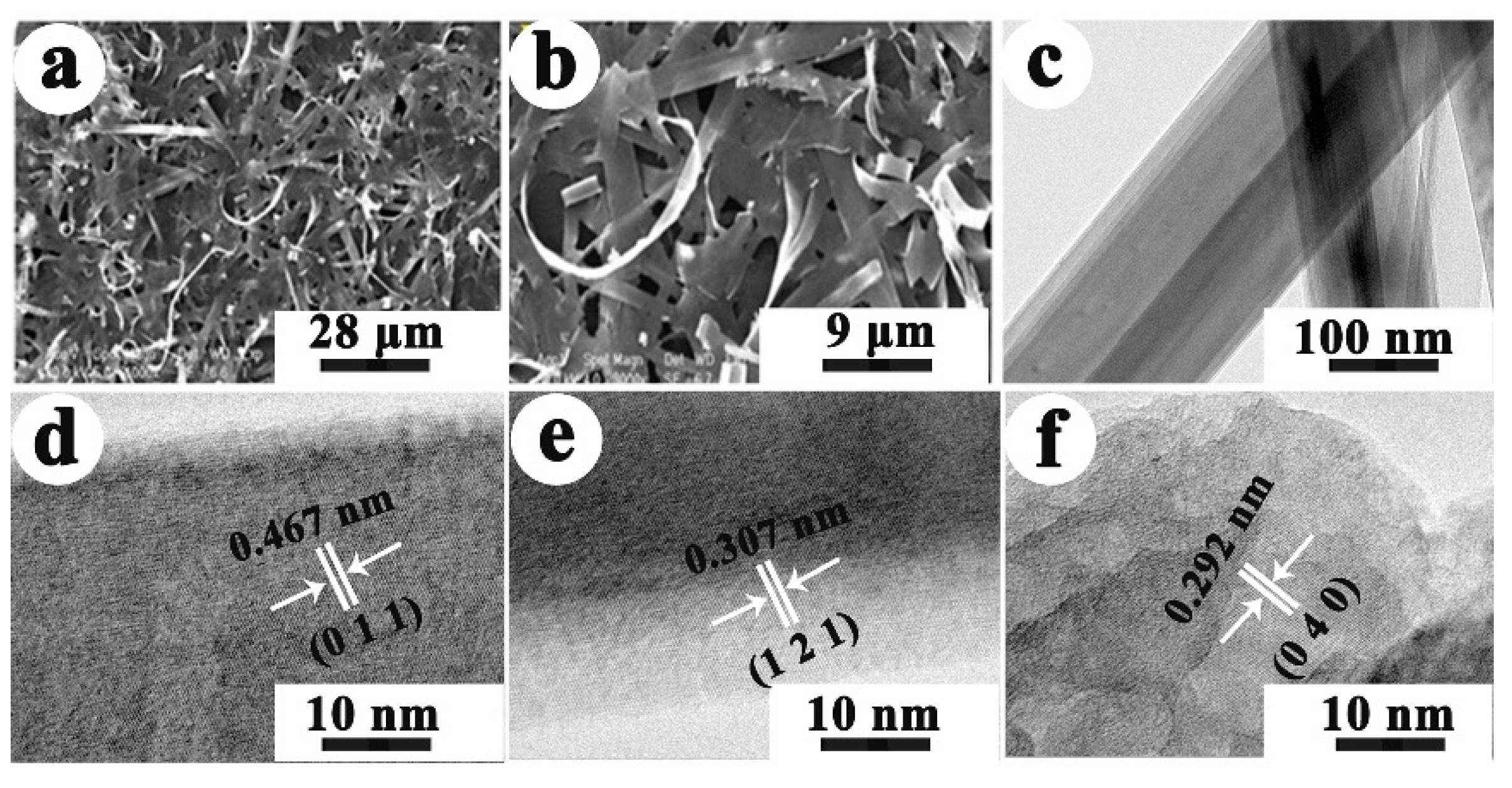 Molecules 28 07793 g002