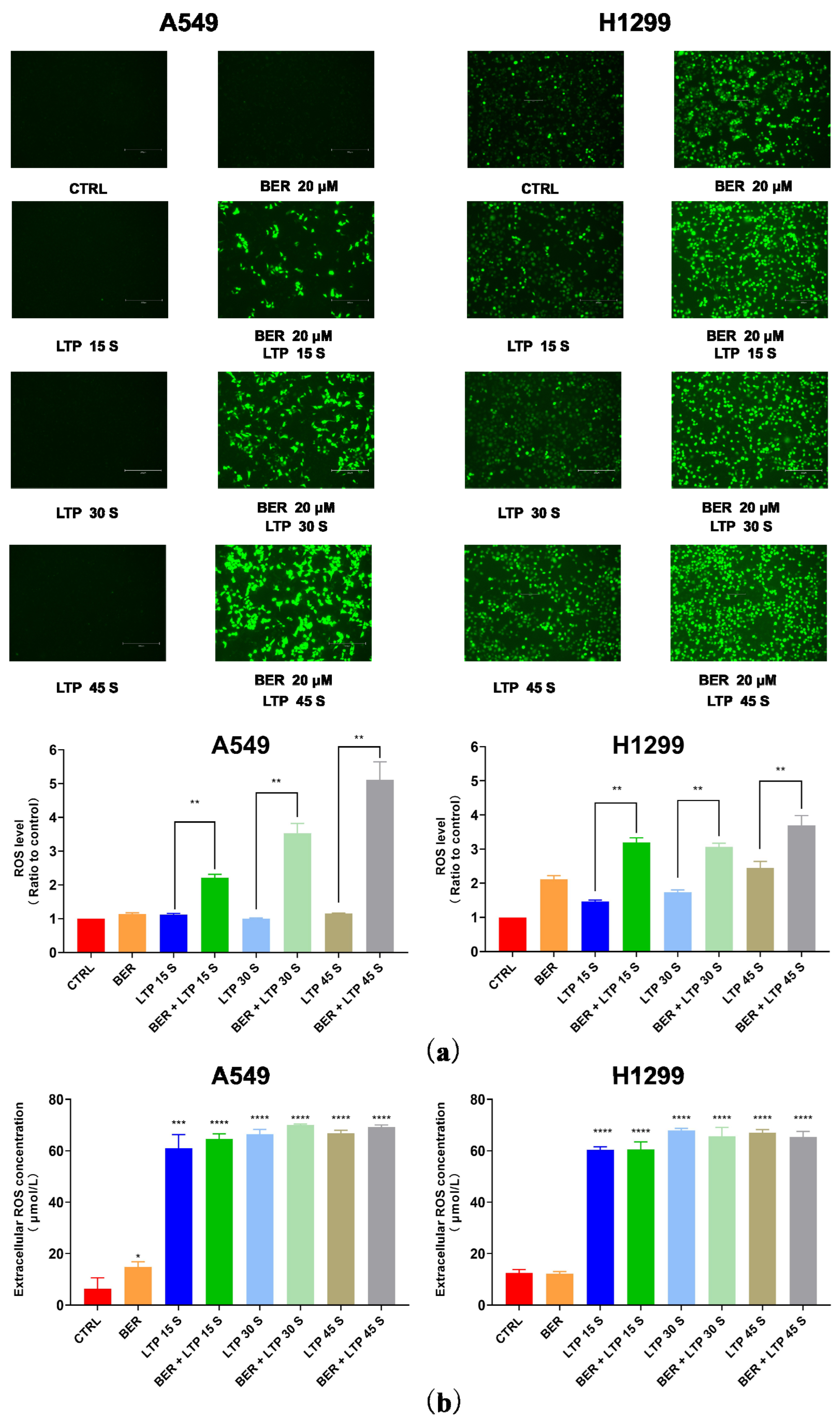 Molecules 28 07797 g004