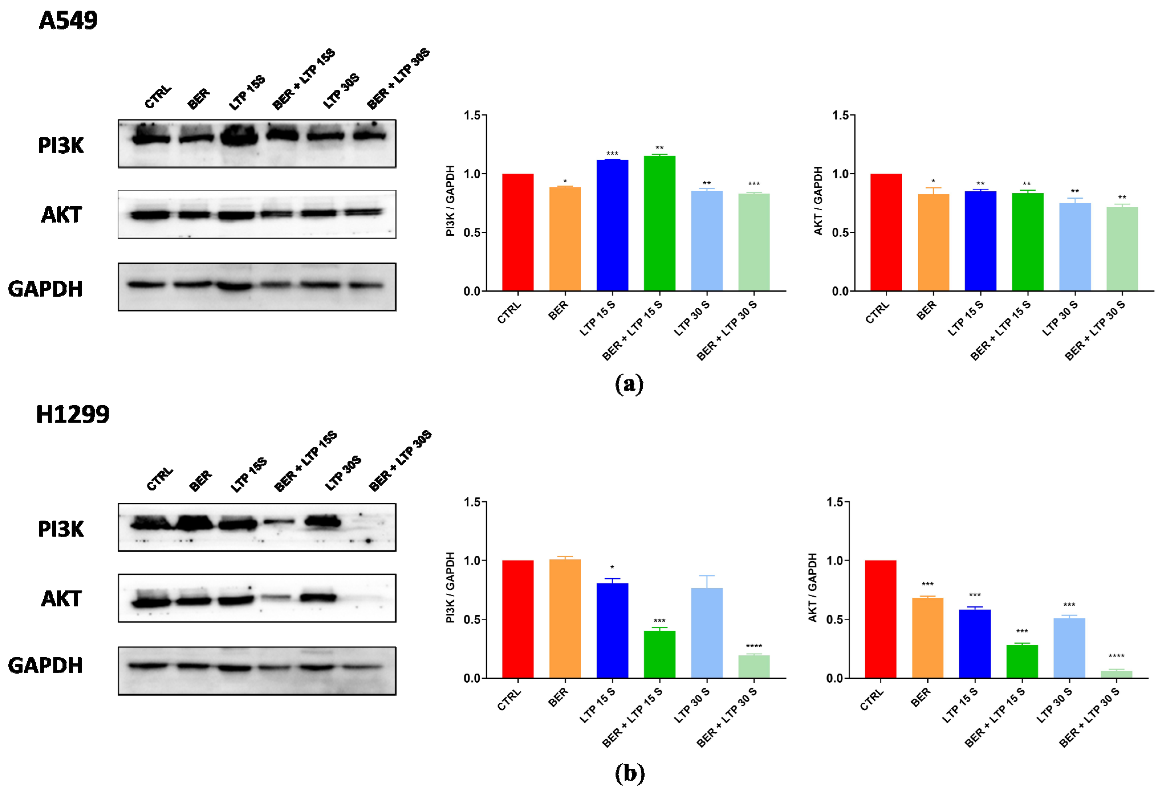 Molecules 28 07797 g006
